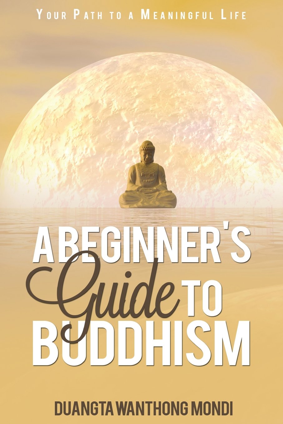 A Beginner's Guide to Buddhism: Your Path to a Meaningful Life book