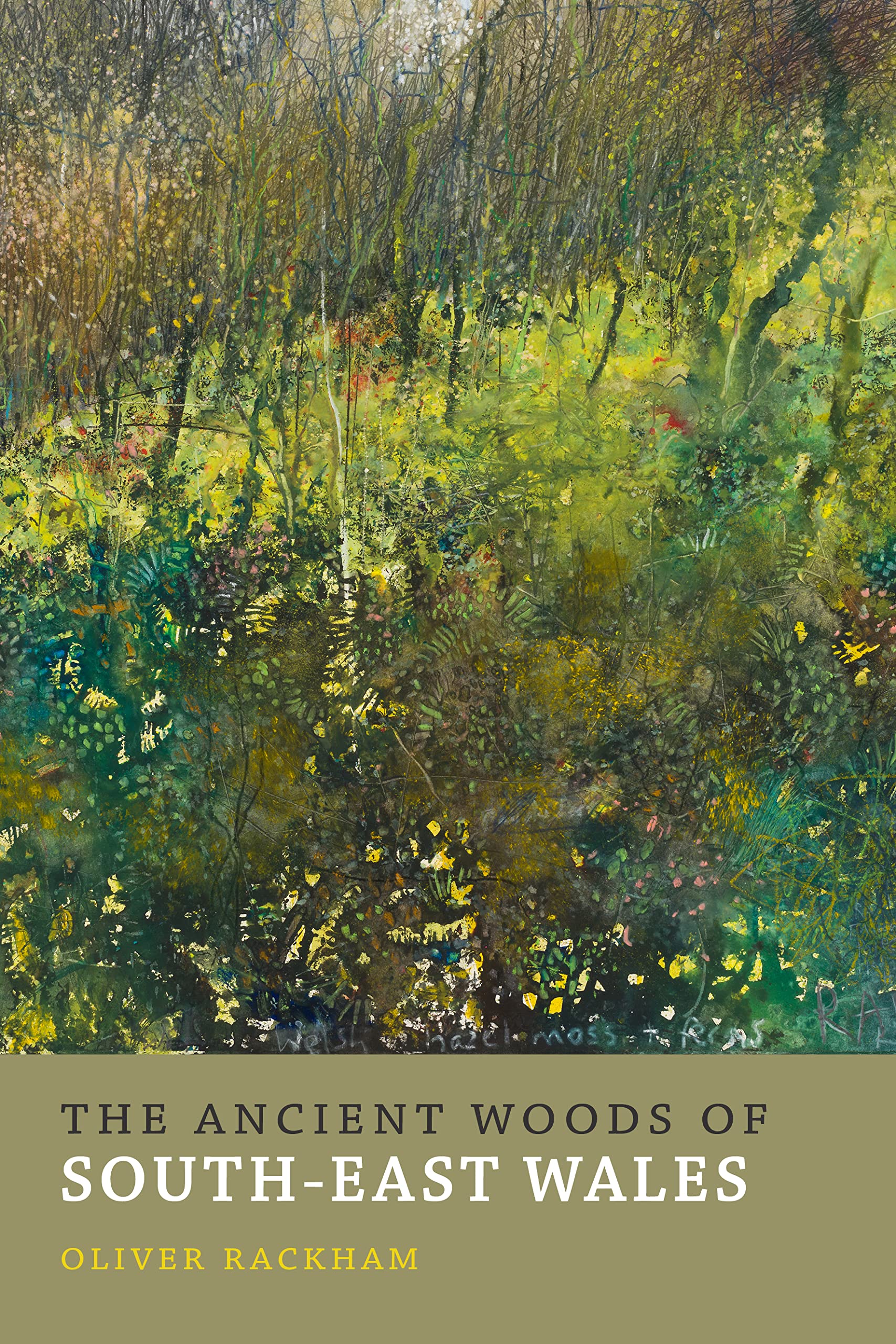 The Ancient Woods of South-east Wales Mathematics