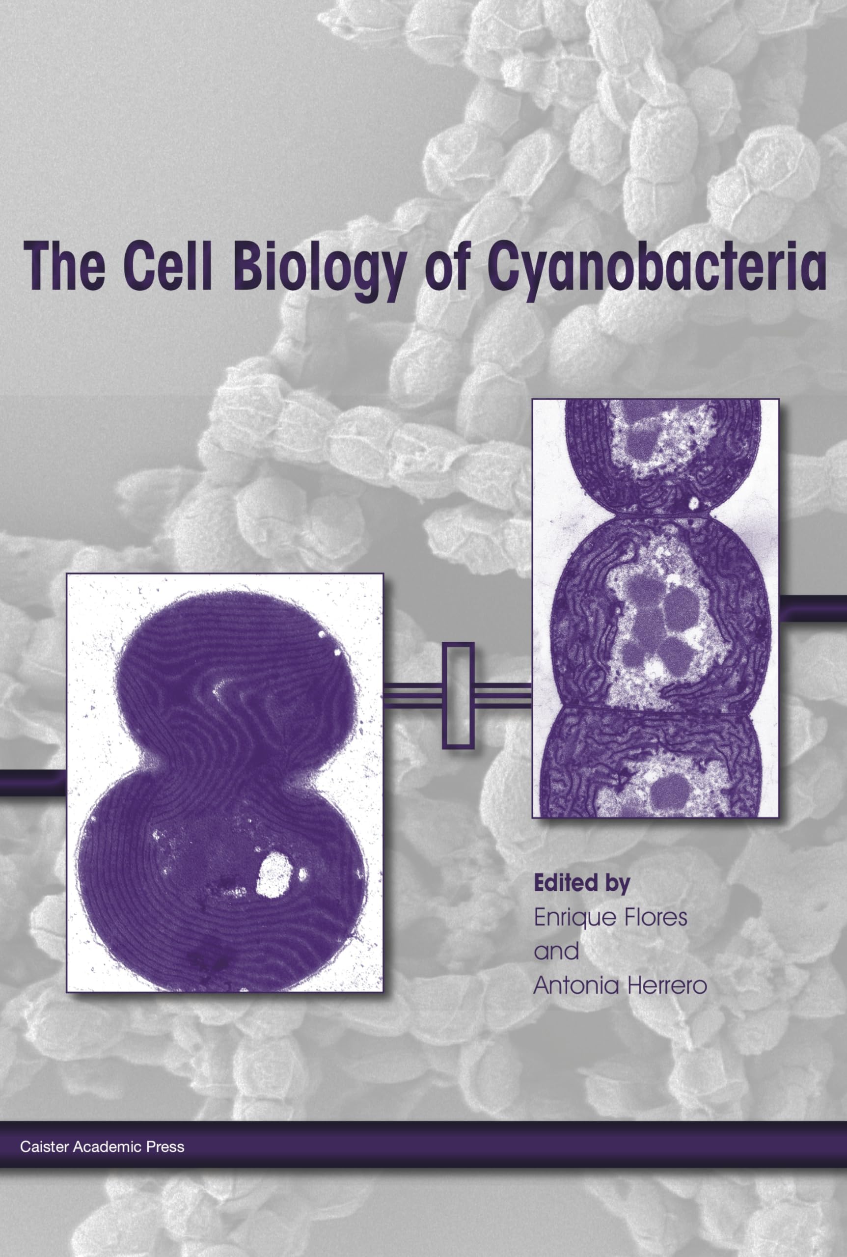 The Cell Biology of Cyanobacteria Medicine