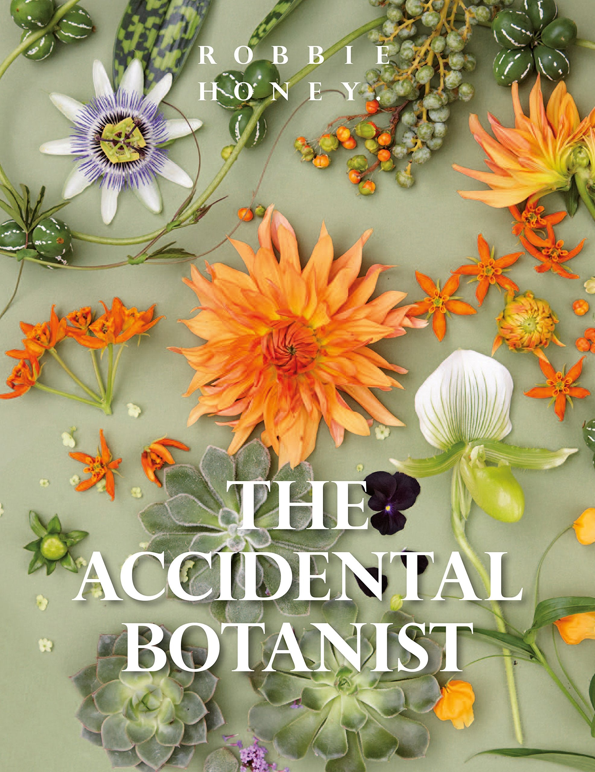 The Accidental Botanist: A Deconstructed Flower Book Mathematics