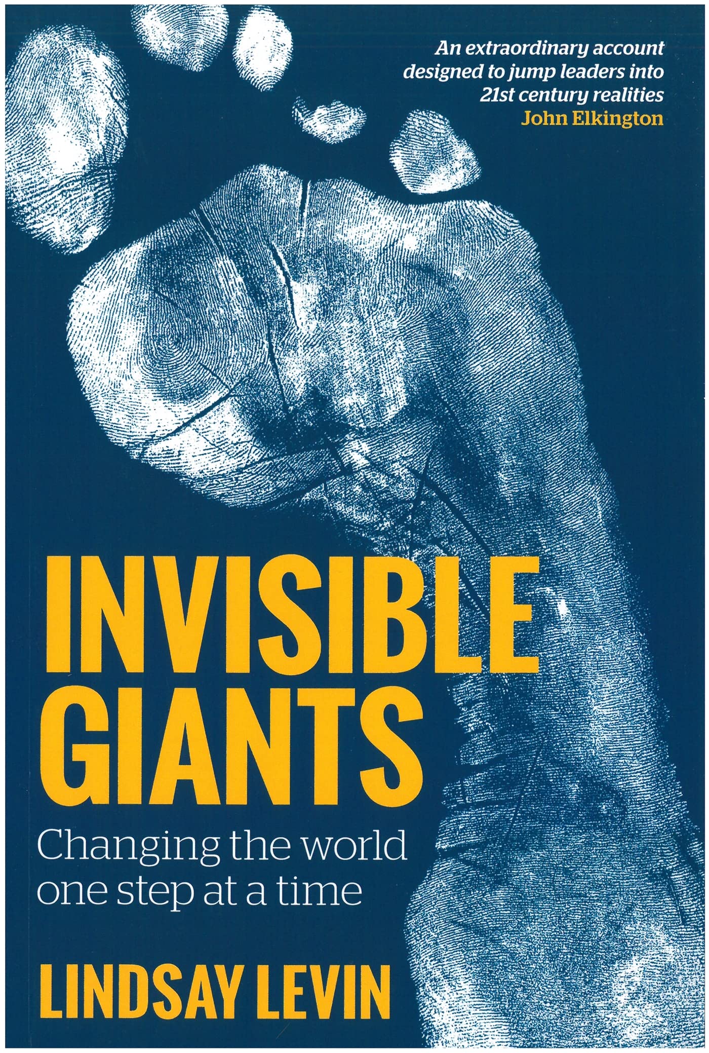 Product Image: Invisible Giants: Changing the World One Step at a Time