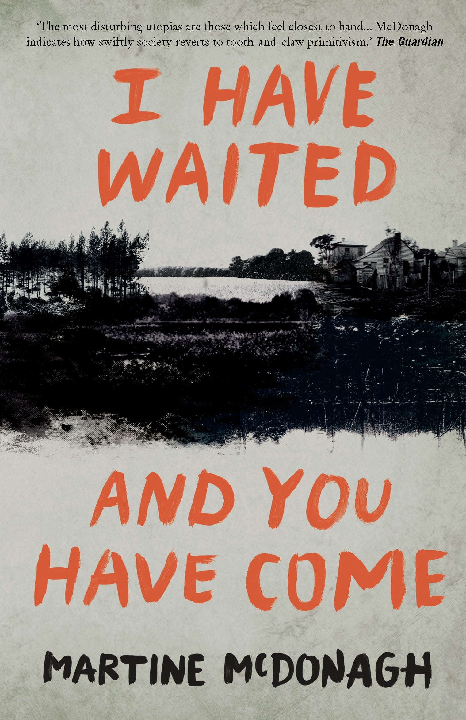 I Have Waited, and You Have Come book