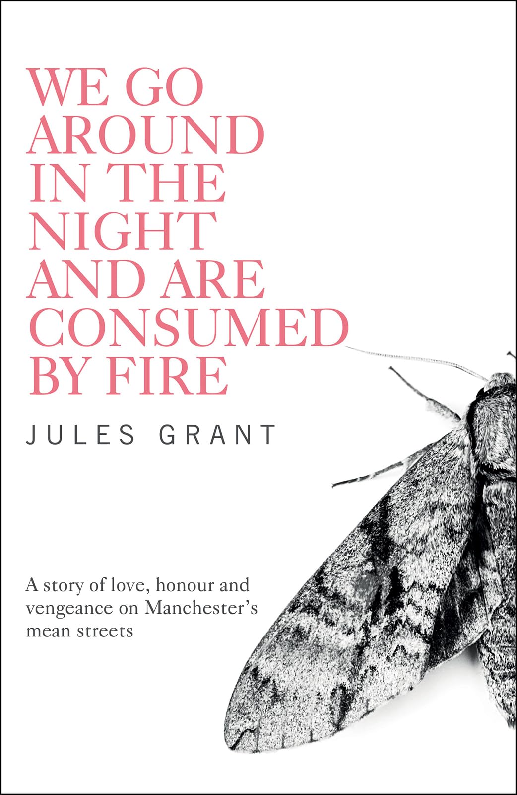 We Go Around in the Night and are Consumed by Fire book