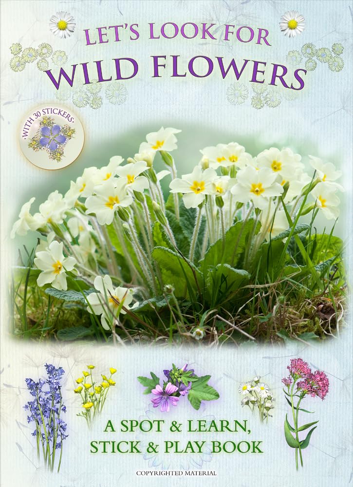 Let’s Look for Wild Flowers: A Spot & Learn, Stick & Play Book: Part of the Let’s Look Nature Series for Children Aged 4 to 8 Years Tiptoi & Games