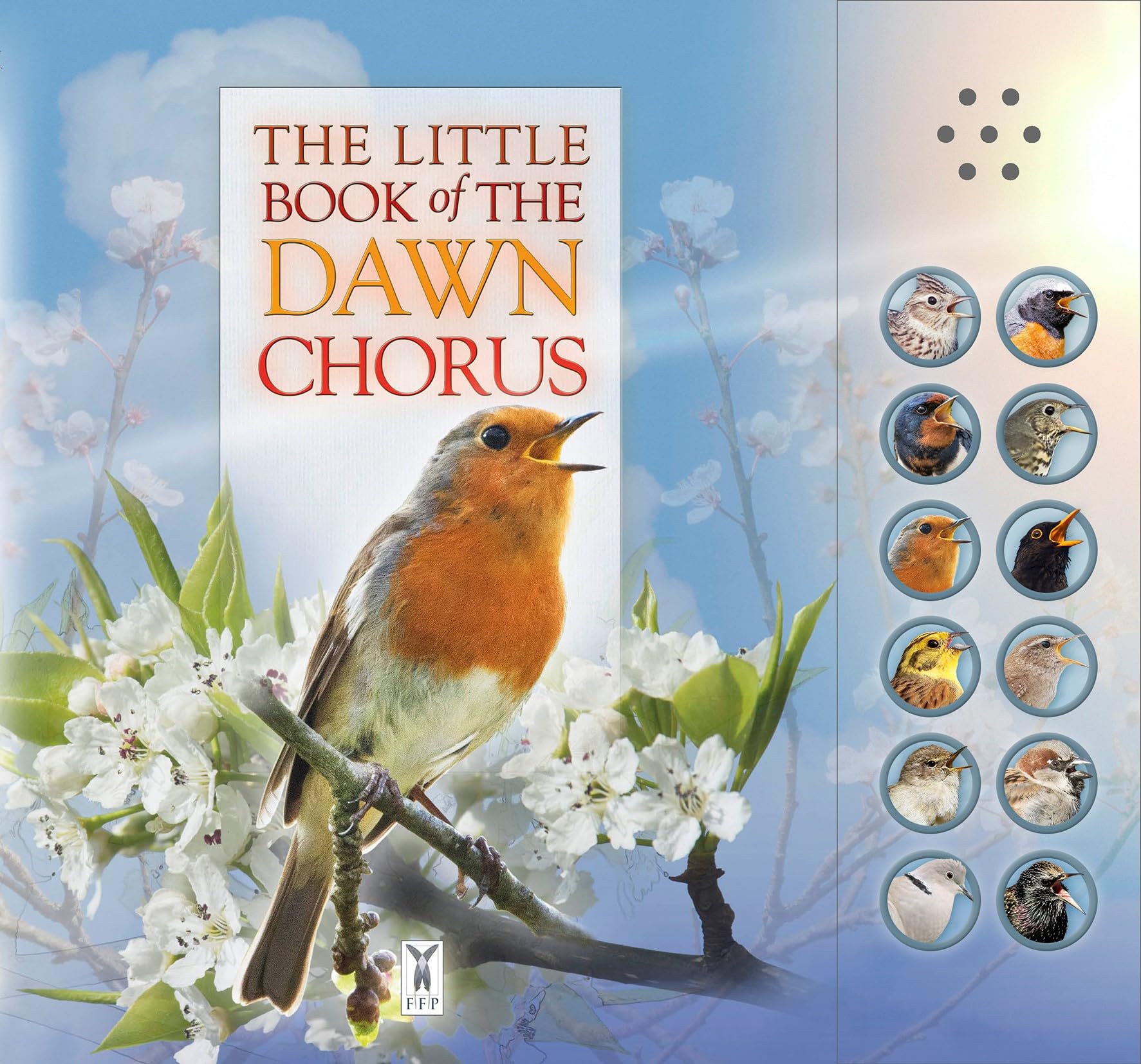 The Little Book of the Dawn Chorus Tiptoi & Games