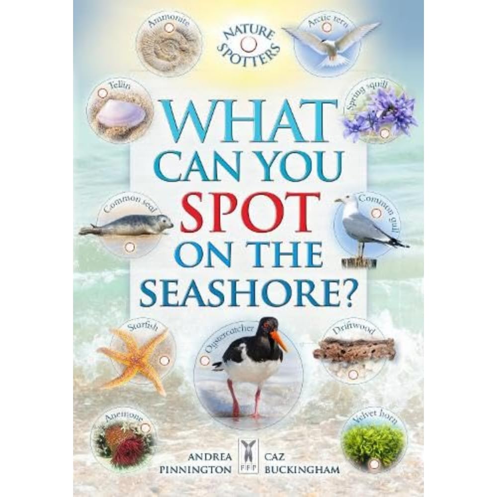 What Can You Spot on the Seashore? Mathematics