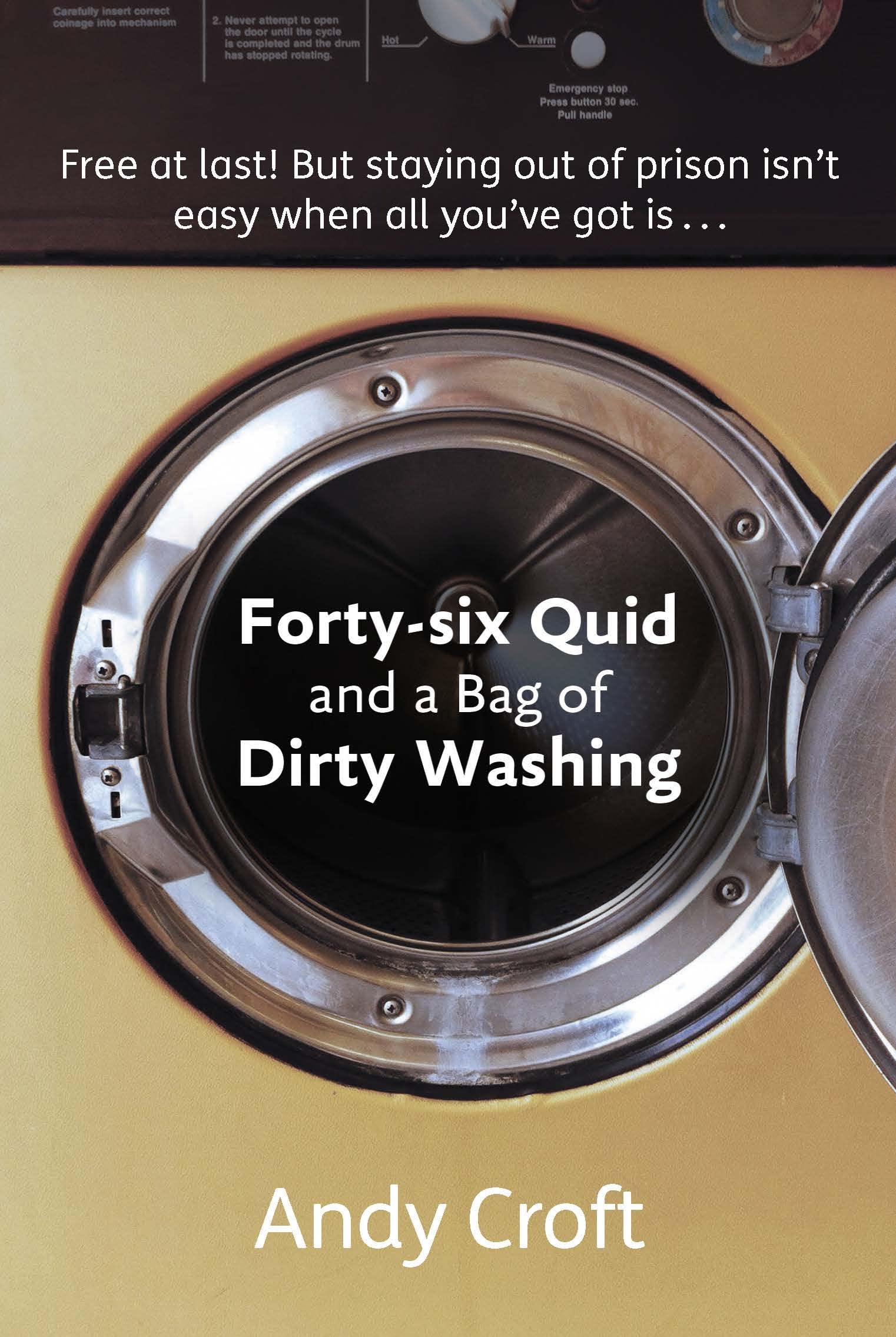 Forty-six Quid and a Bag of Dirty Washing book