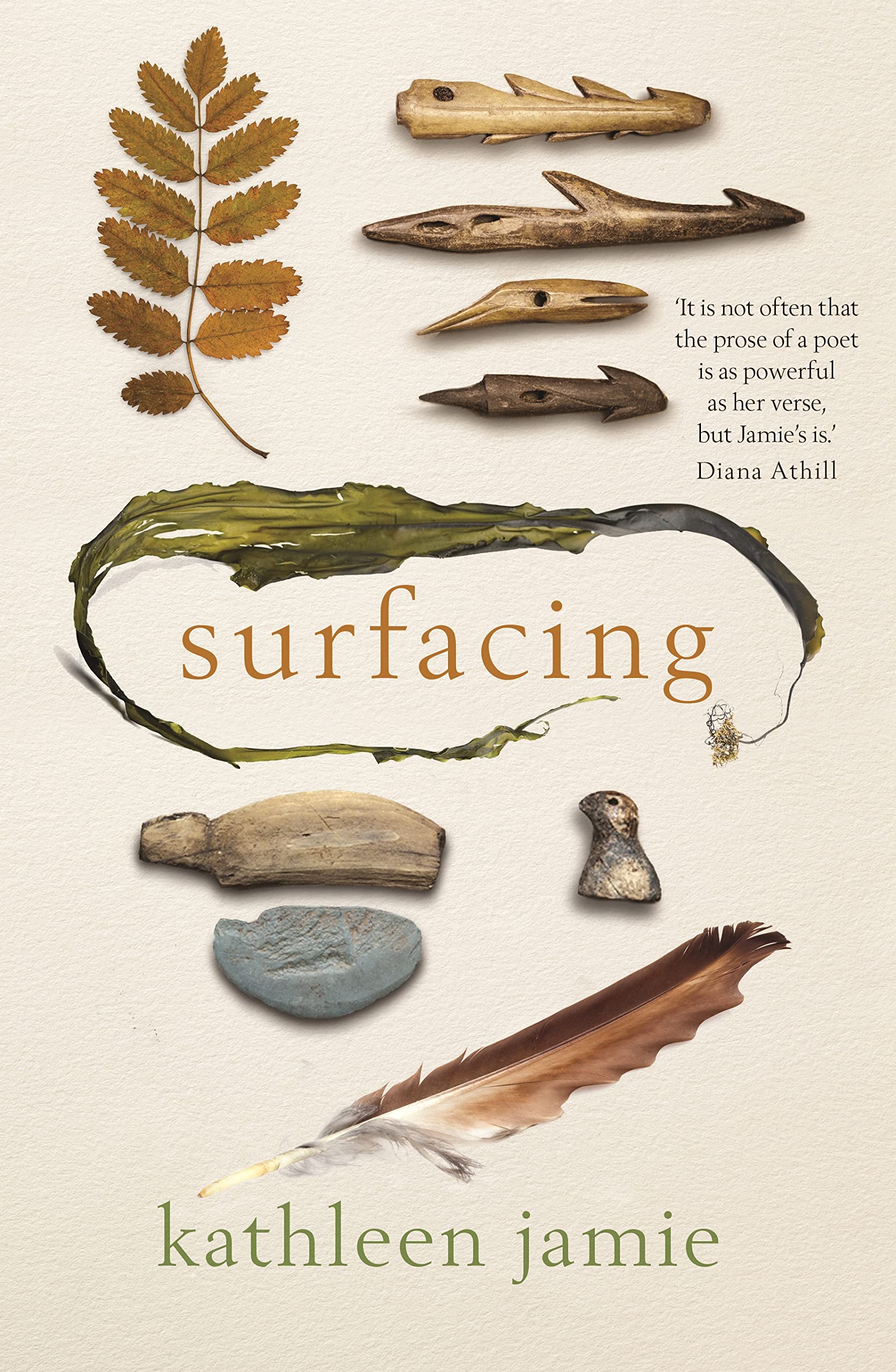 Surfacing Social Sciences