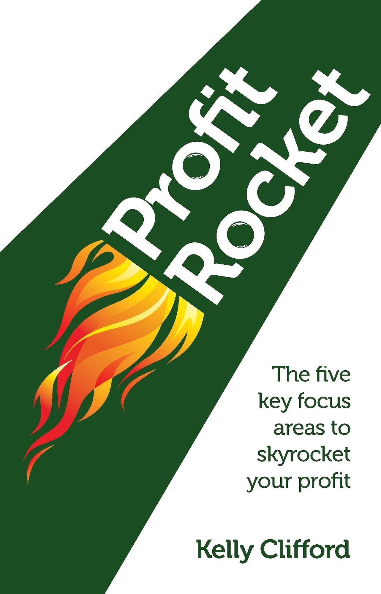 Profit Rocket: The ? Ve Key Focus Areas To Skyrocket Your Pro? T book