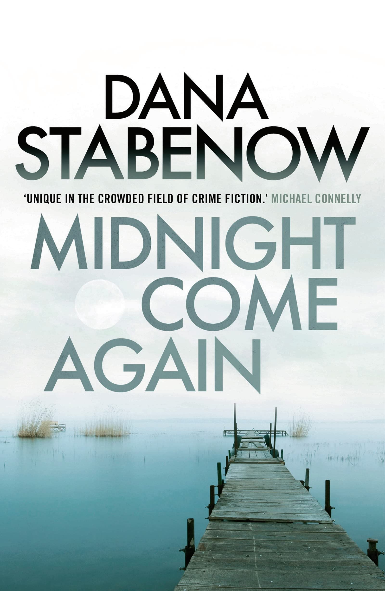 Midnight Come Again (A Kate Shugak Investigation, Band 10) Contemporary literature