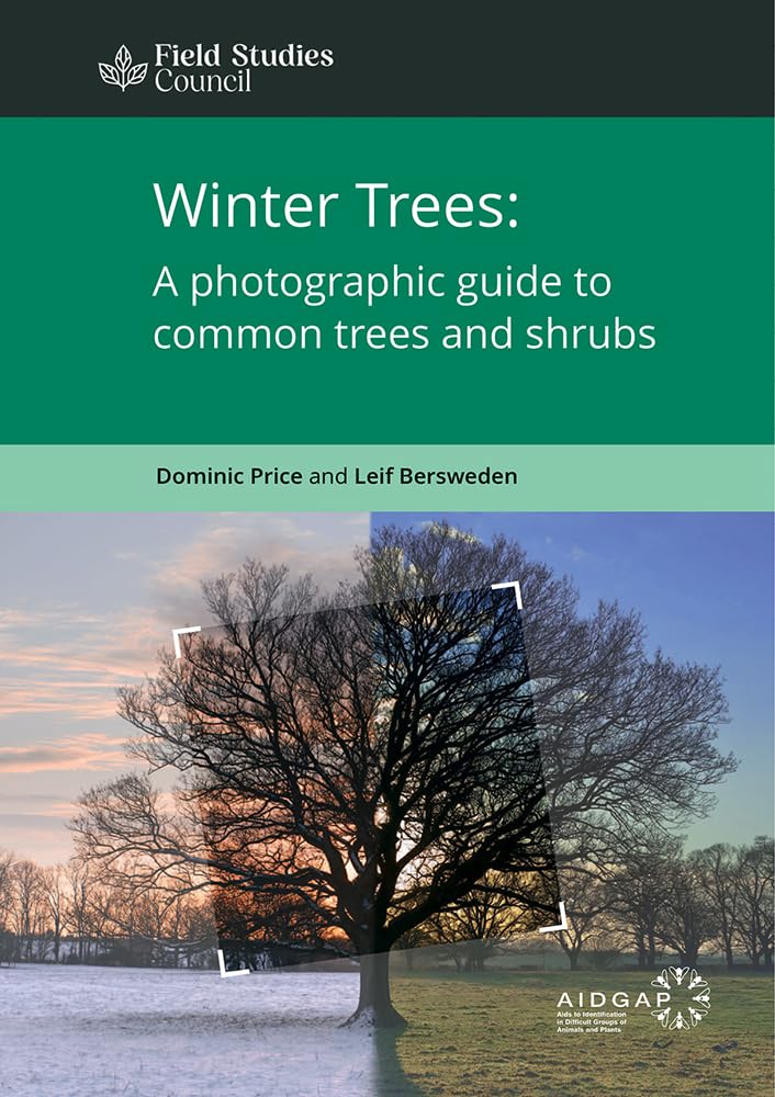 Winter Trees: a Photographic Guide to Common Trees and Shrubs (AIDGAP) Mathematics
