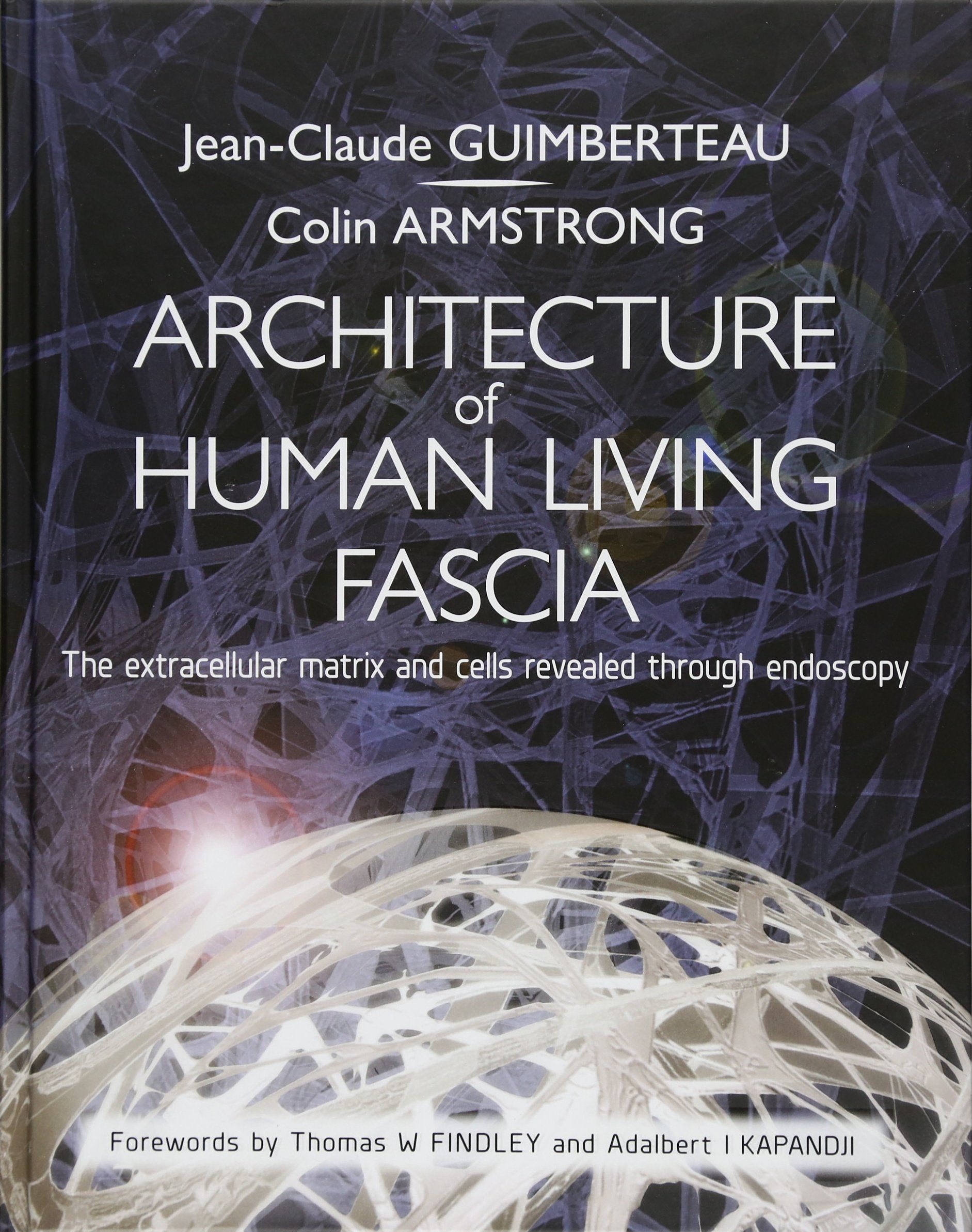 Architecture of Human Living Fascia: The Extracellular Matrix and Cells Revealed Through Endoscopy Medicine