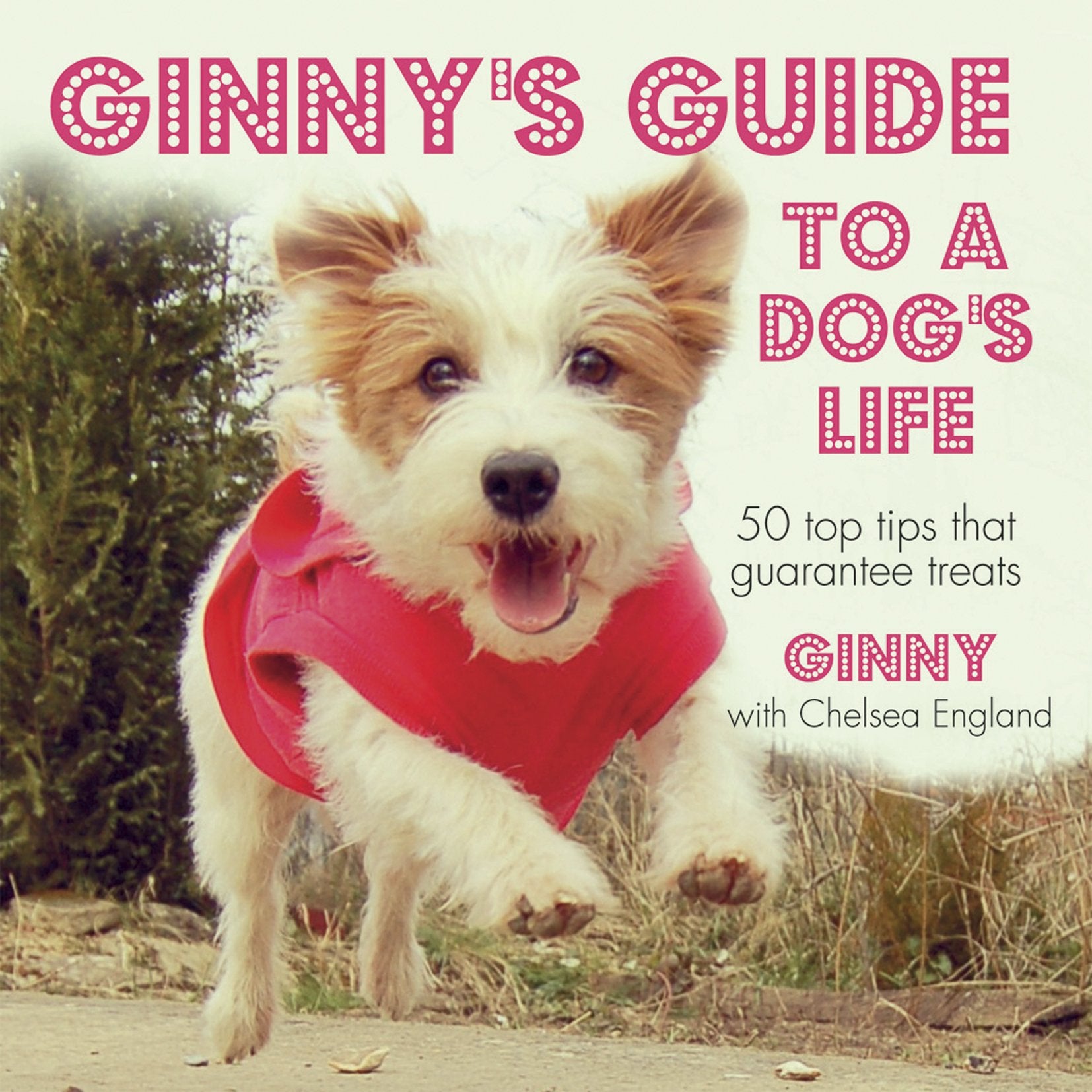 Ginny's Guide to a Dog's Life: Join Ginny the Jack Russell as She Outlines the Rules That Every Dog Should Live by Pets