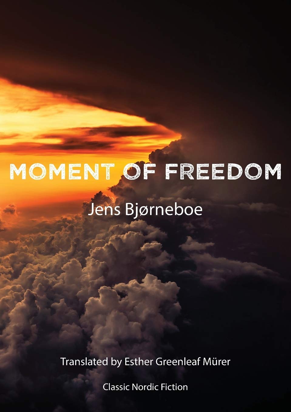 Moment of Freedom: The Heiligenberg Manuscript Contemporary literature