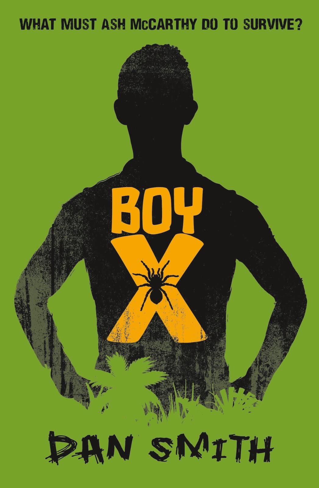 Boy X Novels & Short Stories for children