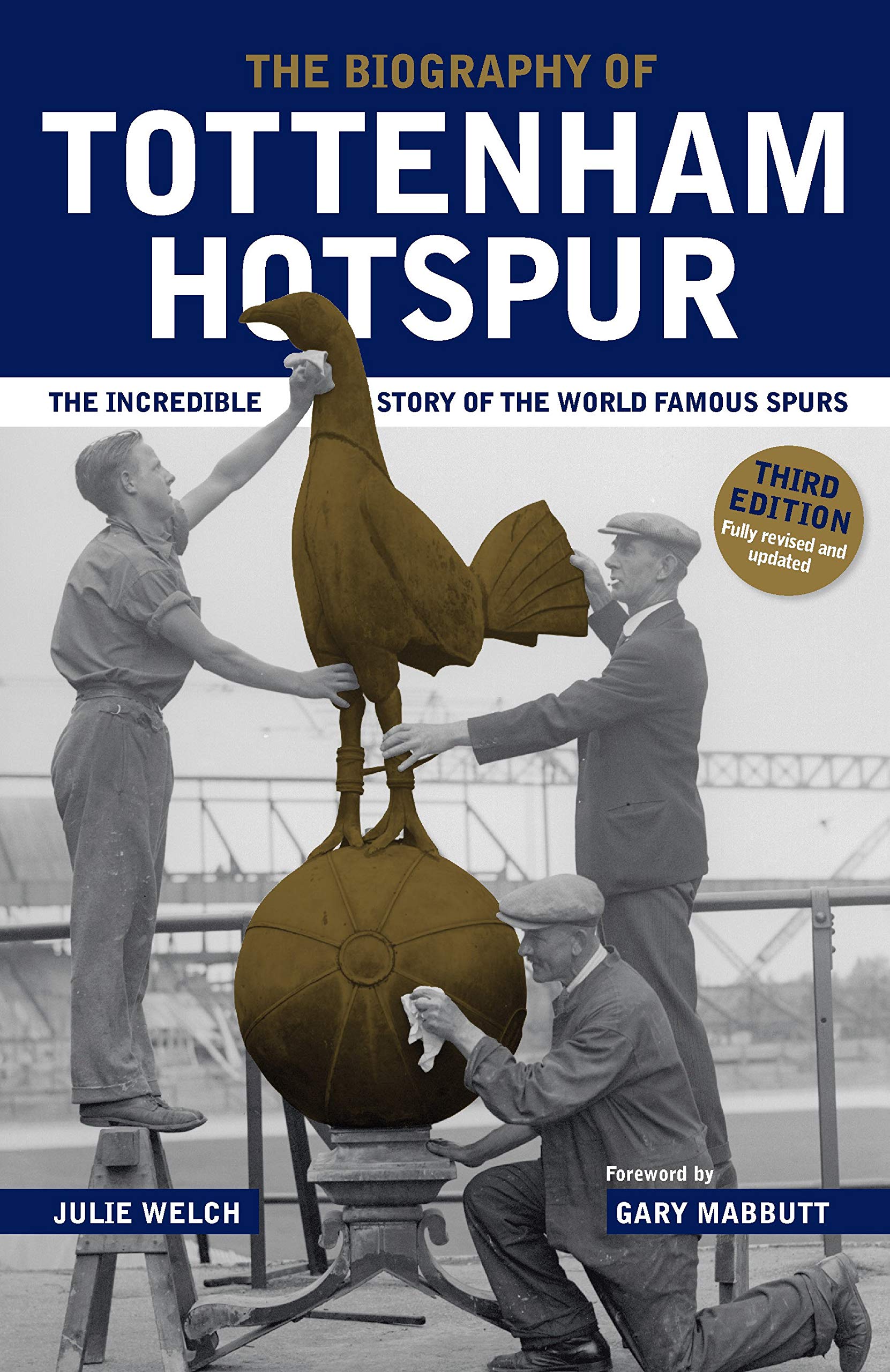 The Biography of Tottenham Hotspur Politics & History