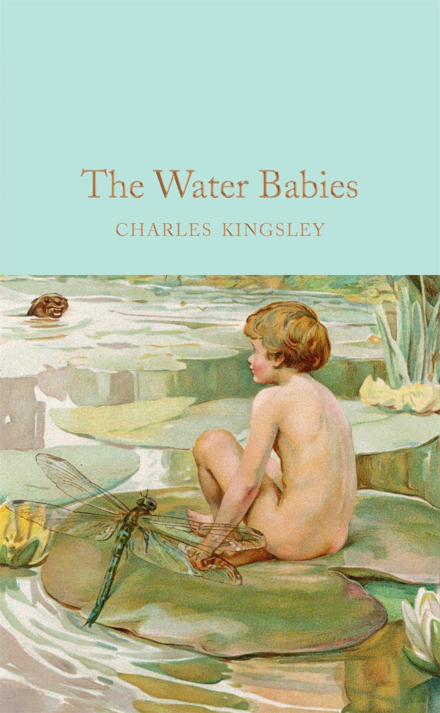 The Water-Babies: A Fairy Tale for a Land-Baby (Macmillan Collector's Library) Classics