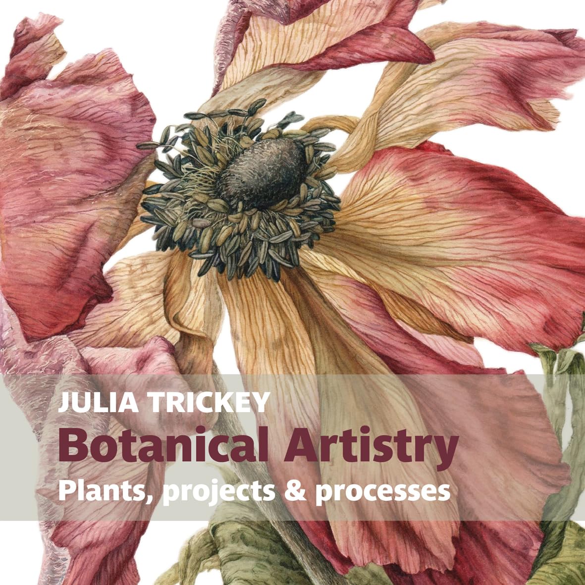 Botanical Artistry: Plants, projects and processes (Botanical Art Portfolios) Film, Art & Culture