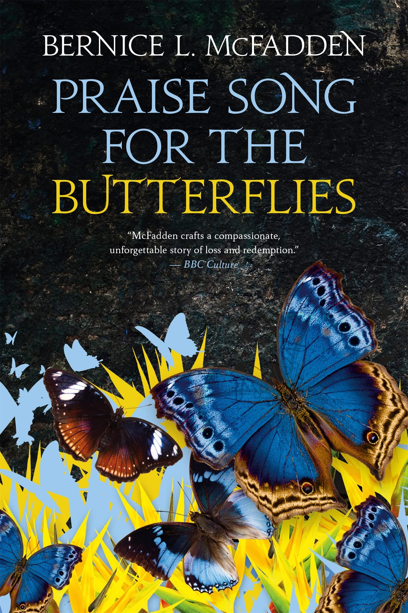 Praise Song For The Butterflies Social Sciences