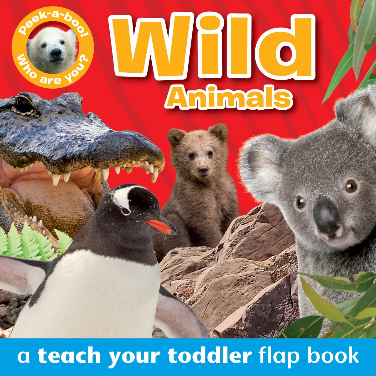 Peek-a-Boo Books: Wild Animals Non-fiction