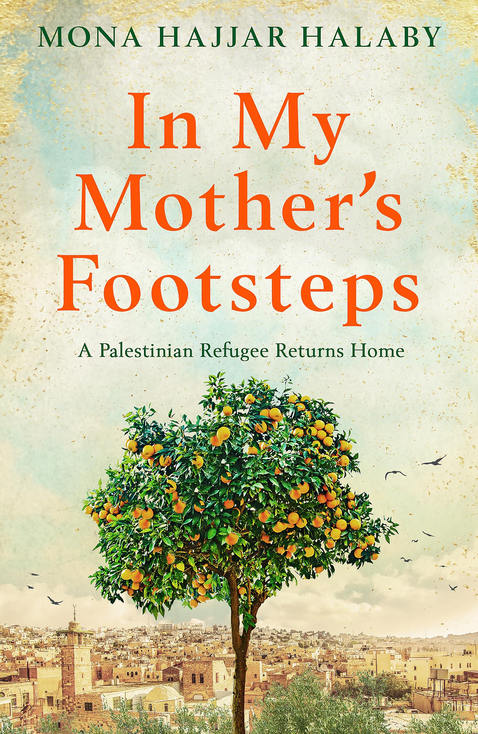 In My Mother's Footsteps: A Palestinian Refugee Returns Home Books