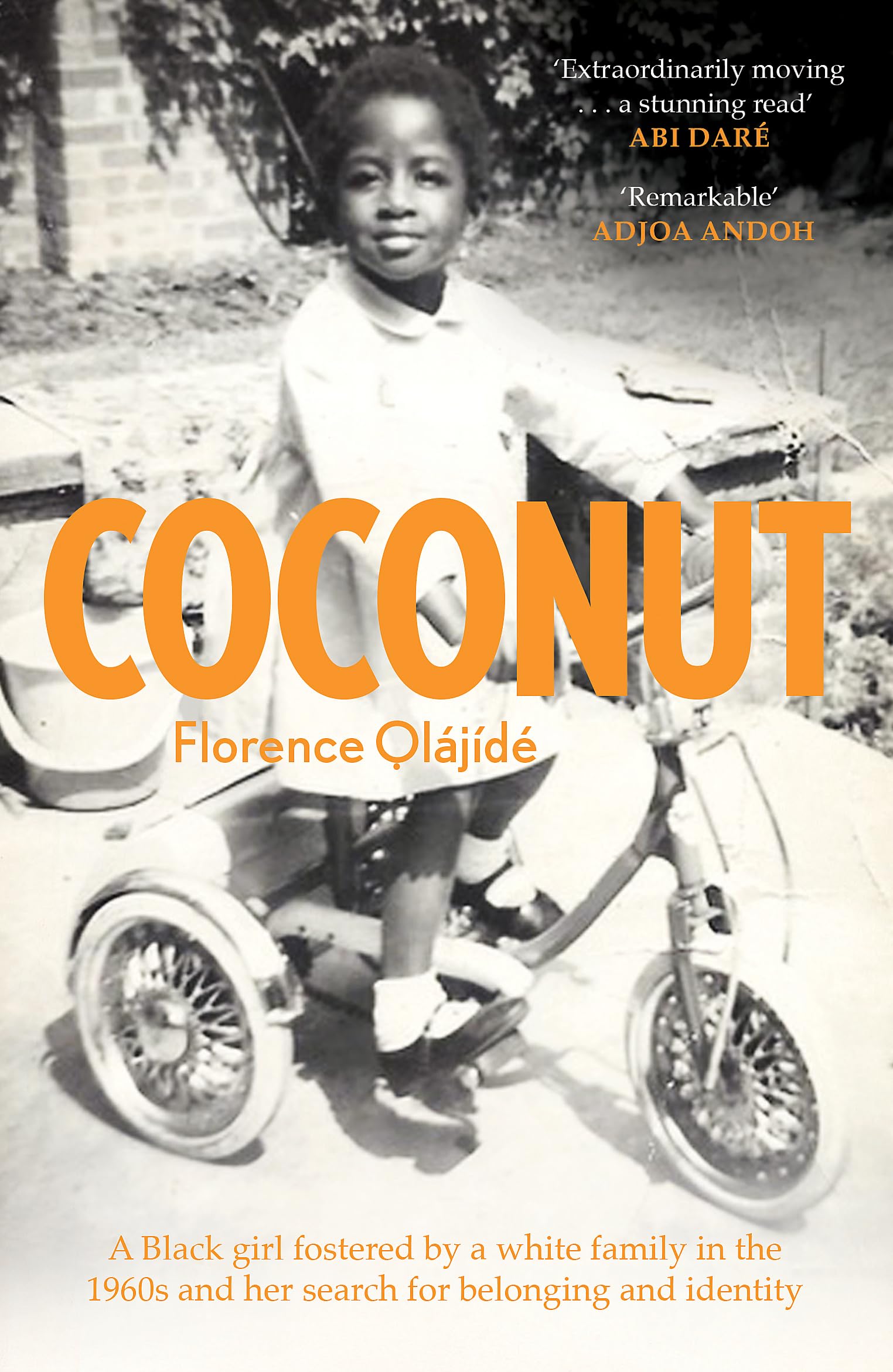 Coconut: A Black girl fostered by a white family in the 1960s and her search for belonging and identity Books