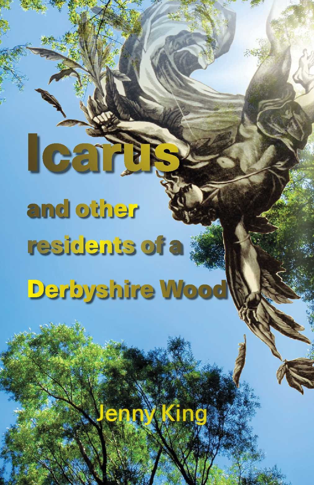 Icarus and other residents of a Derbyshire wood Poetry