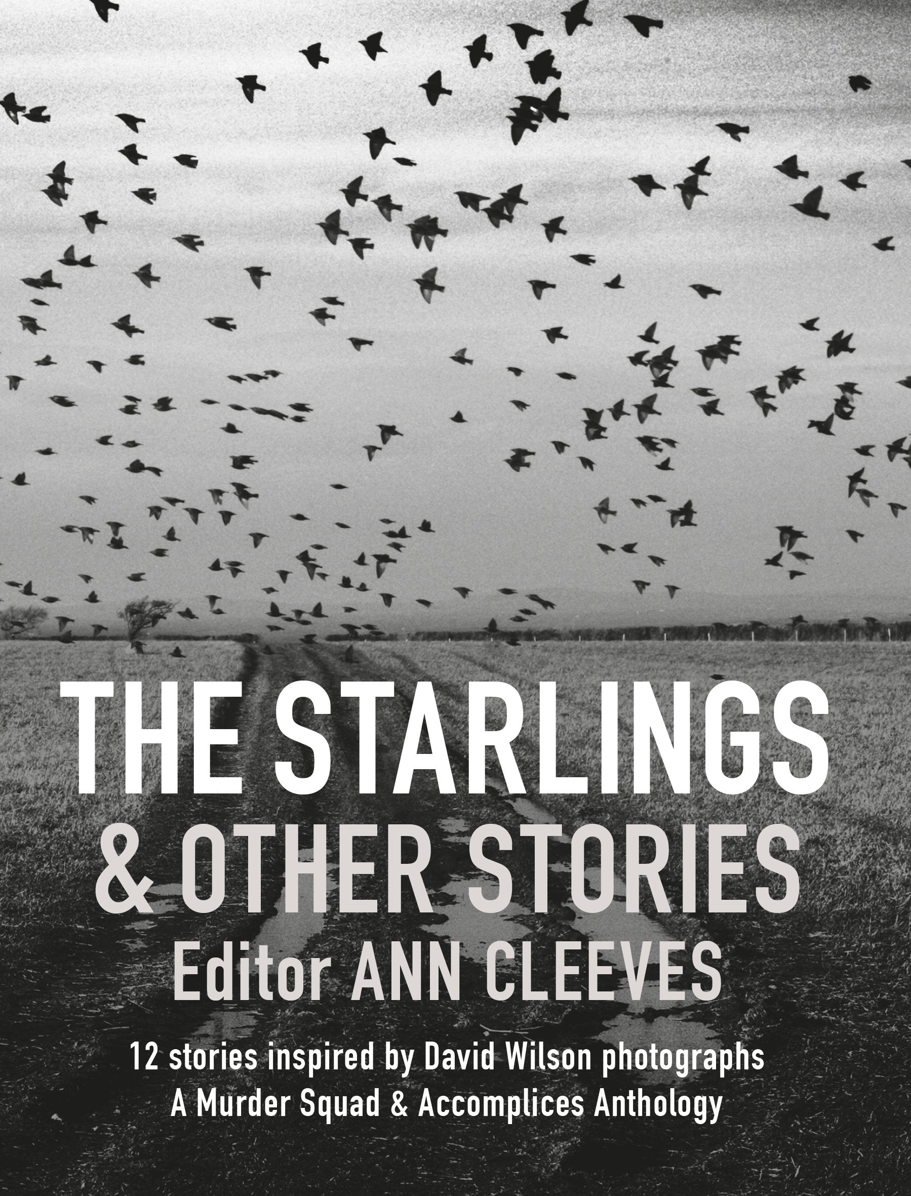 The Starlings & Other Stories: A Murder Squad & Accomplices Anthology book
