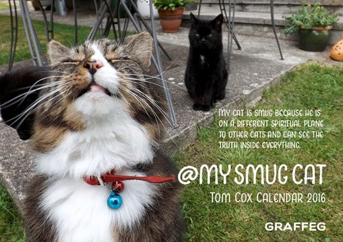 My Smug Cat 2016 Calendar (My Smug Cat Calendar) Pets
