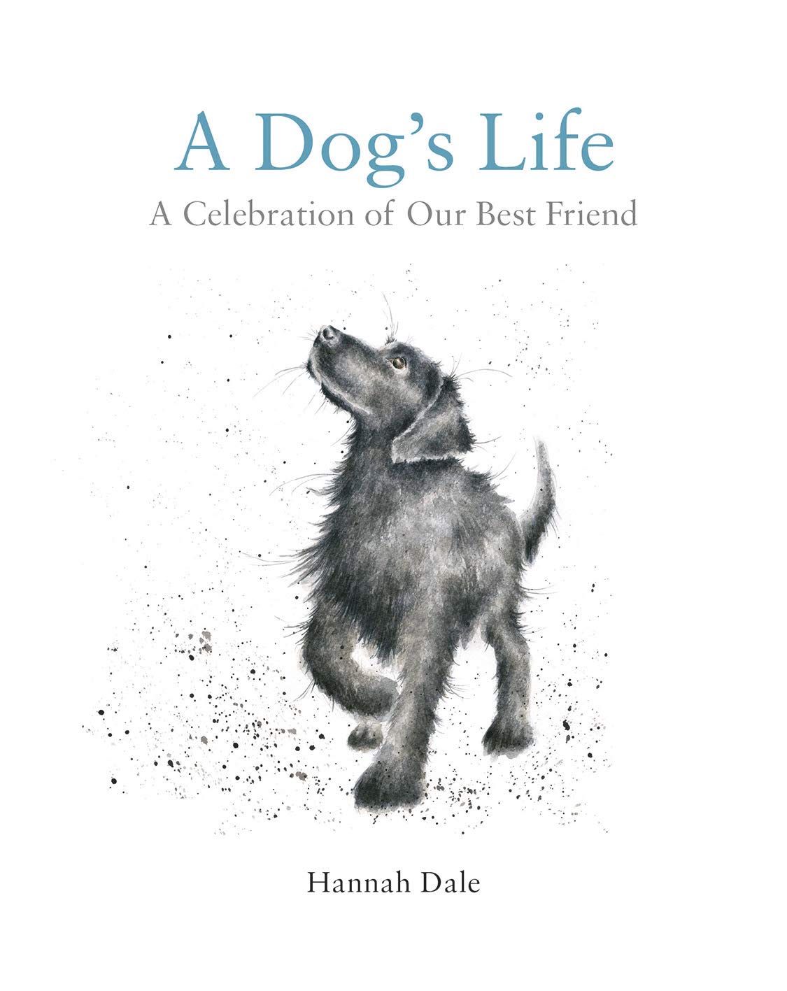 Dale, H: A Dog's Life Social Sciences