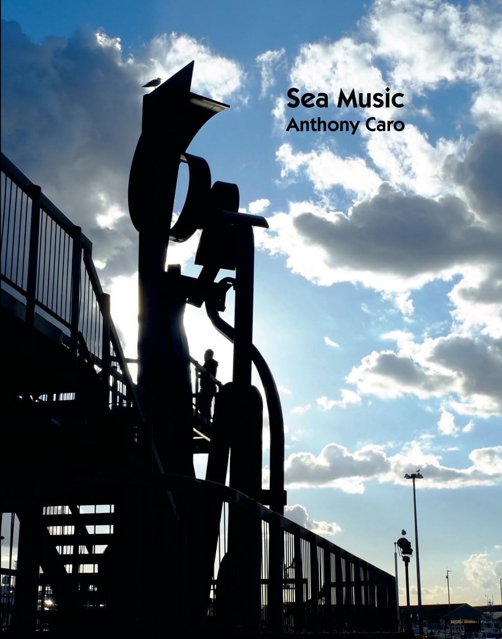 Product Image: Sea Music: Anthony Caro