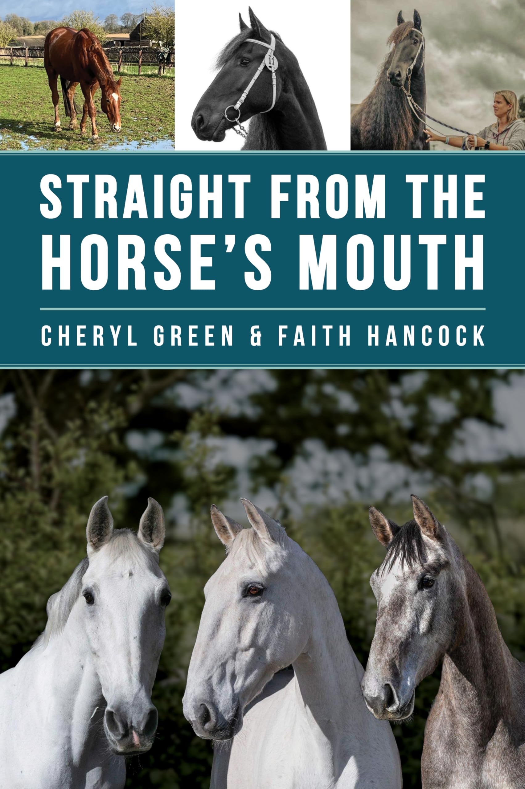 Straight From the Horse's Mouth Medicine