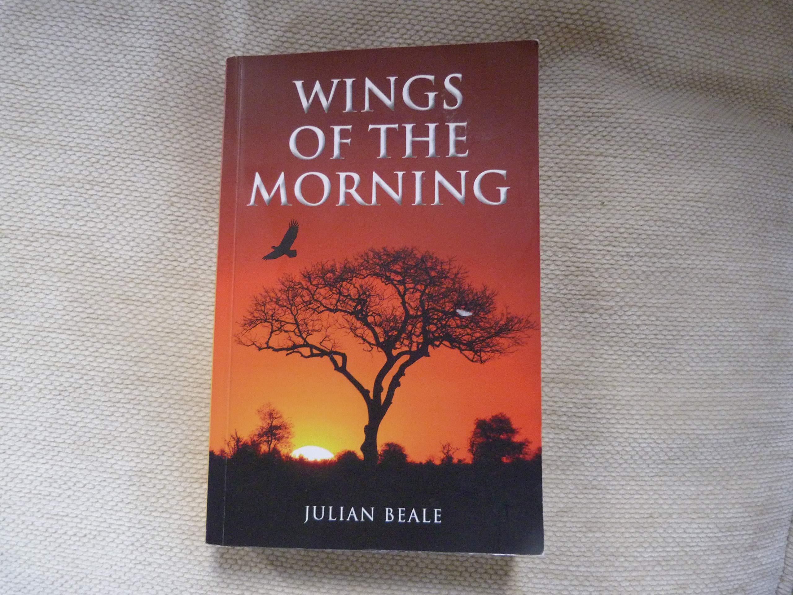 Wings of the Morning book