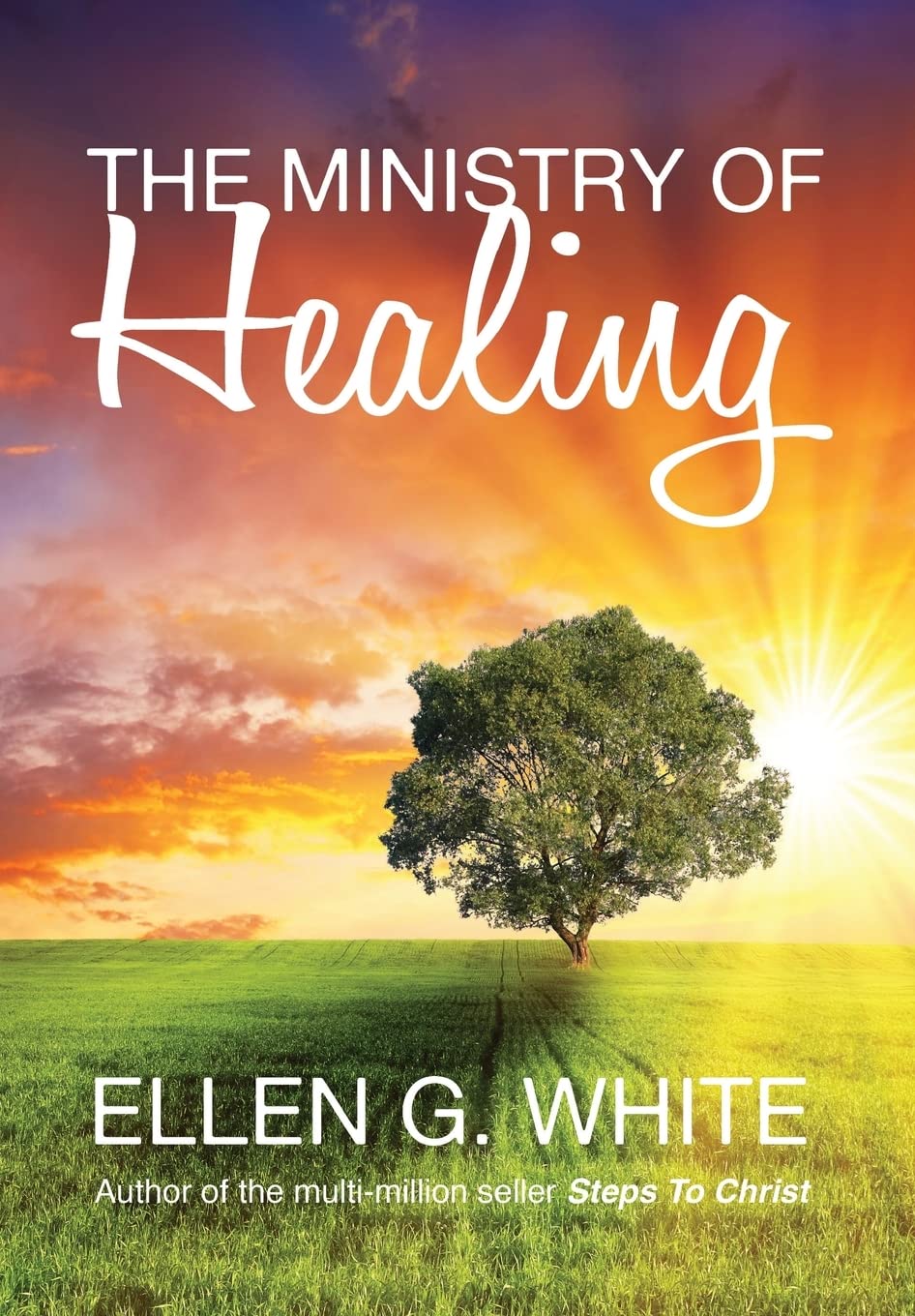 The Ministry of Healing Contemporary literature
