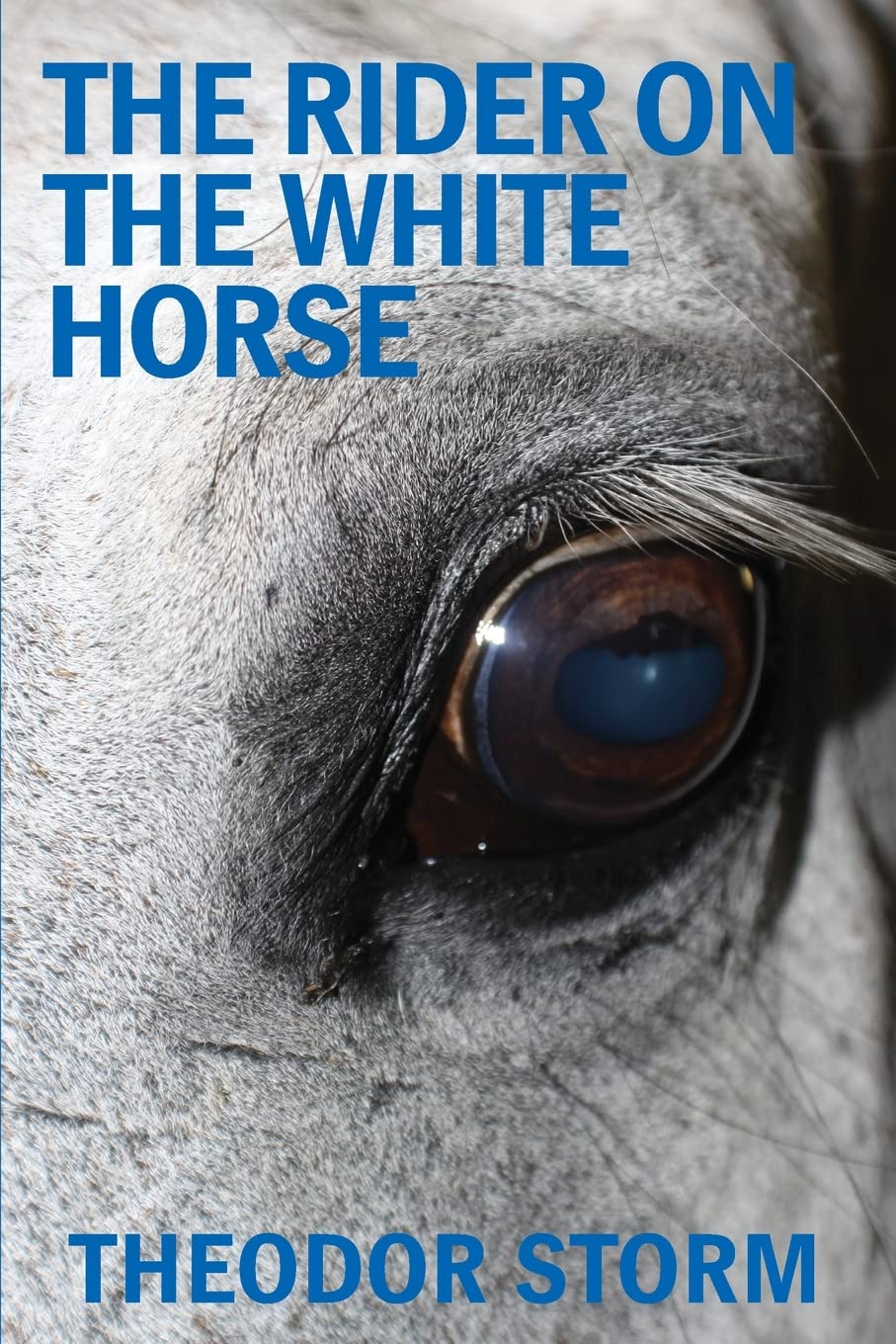 The Rider on the White Horse Essays & Short Stories