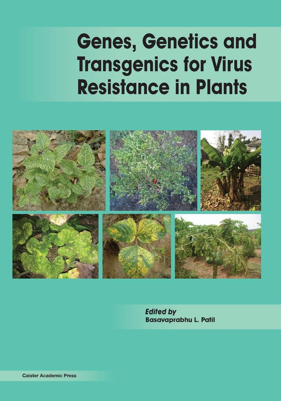 Genes, Genetics and Transgenics for Virus Resistance in Plants Natural Sciences