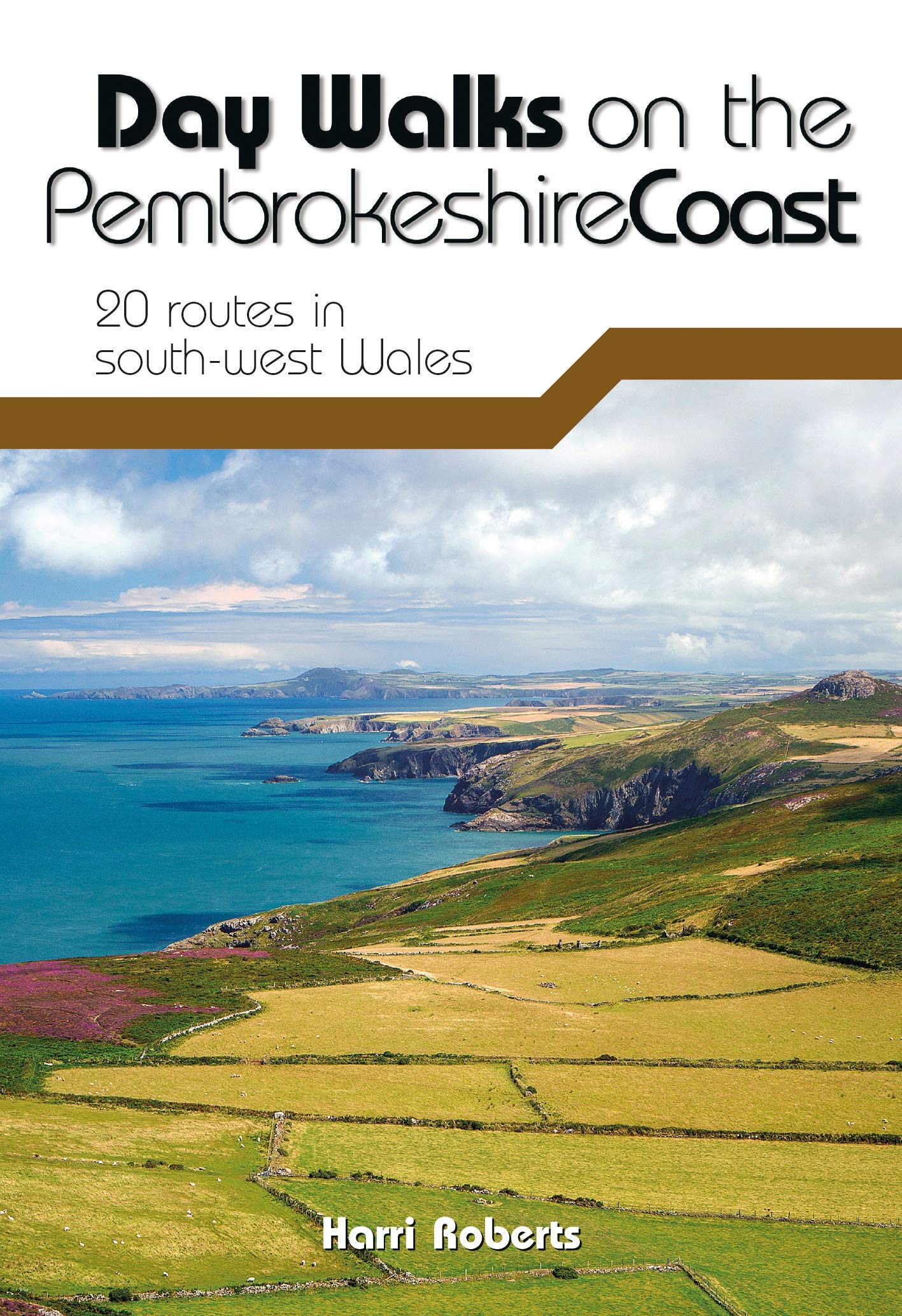 Day Walks on the Pembrokeshire Coast: 20 routes in south-west Wales Leisure, Home & Garden