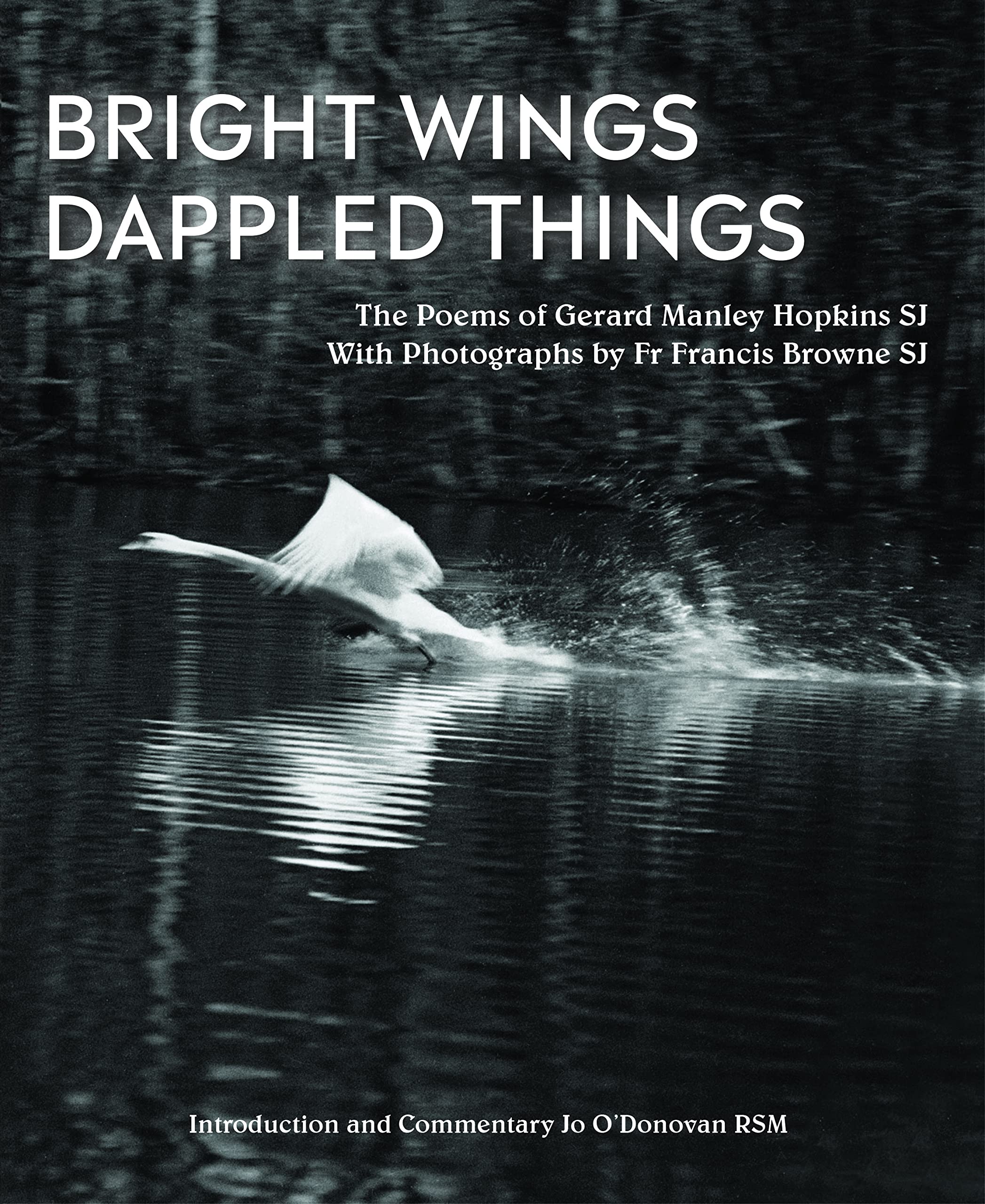 Bright Wings, Dappled Things: The Poems of Gerard Manley Hopkins Sj: Poems of Gerard Manley Hopkins Sj & Photographs by Fr Francis Browne Sj Poetry