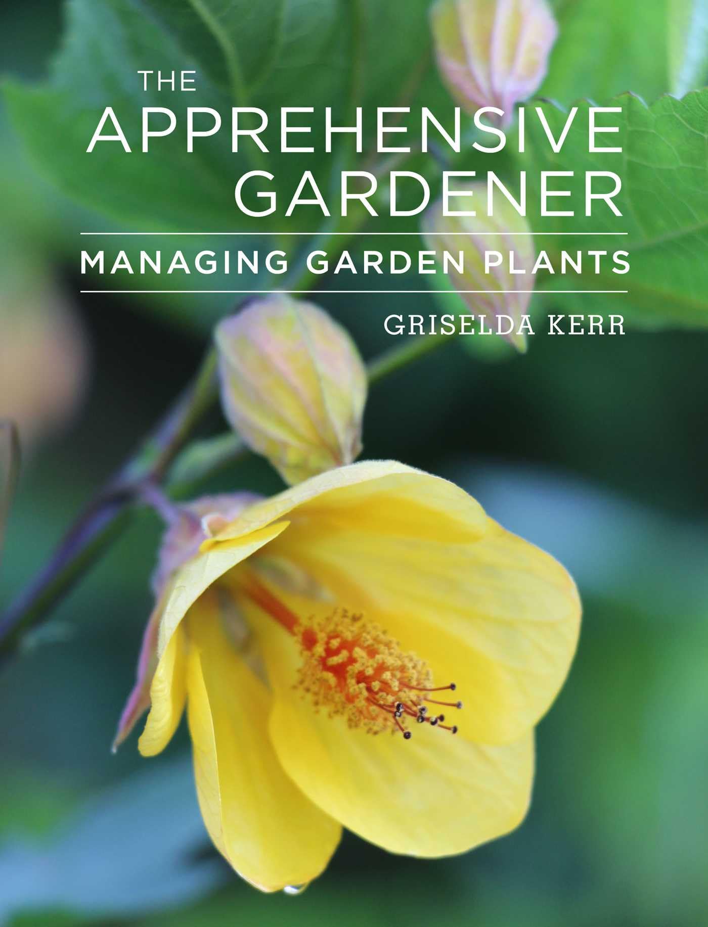 The Apprehensive Gardener: Managing Garden Plants Garden & Plants