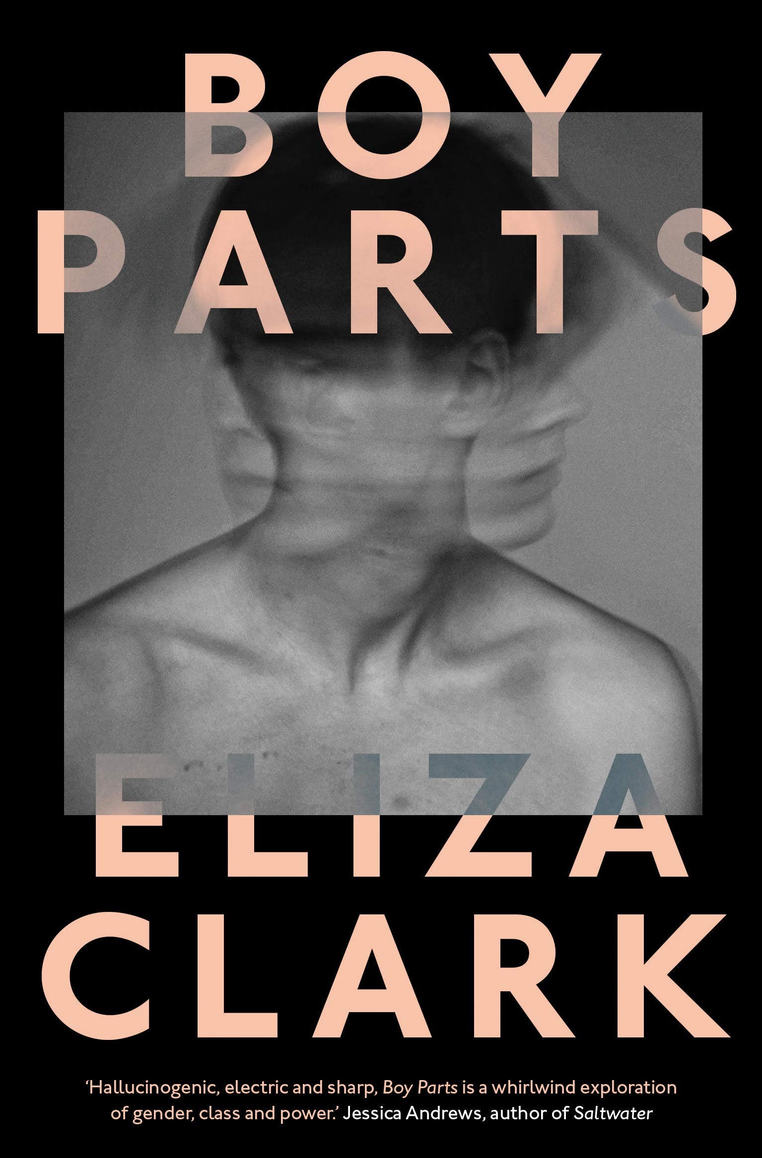 Boy Parts book