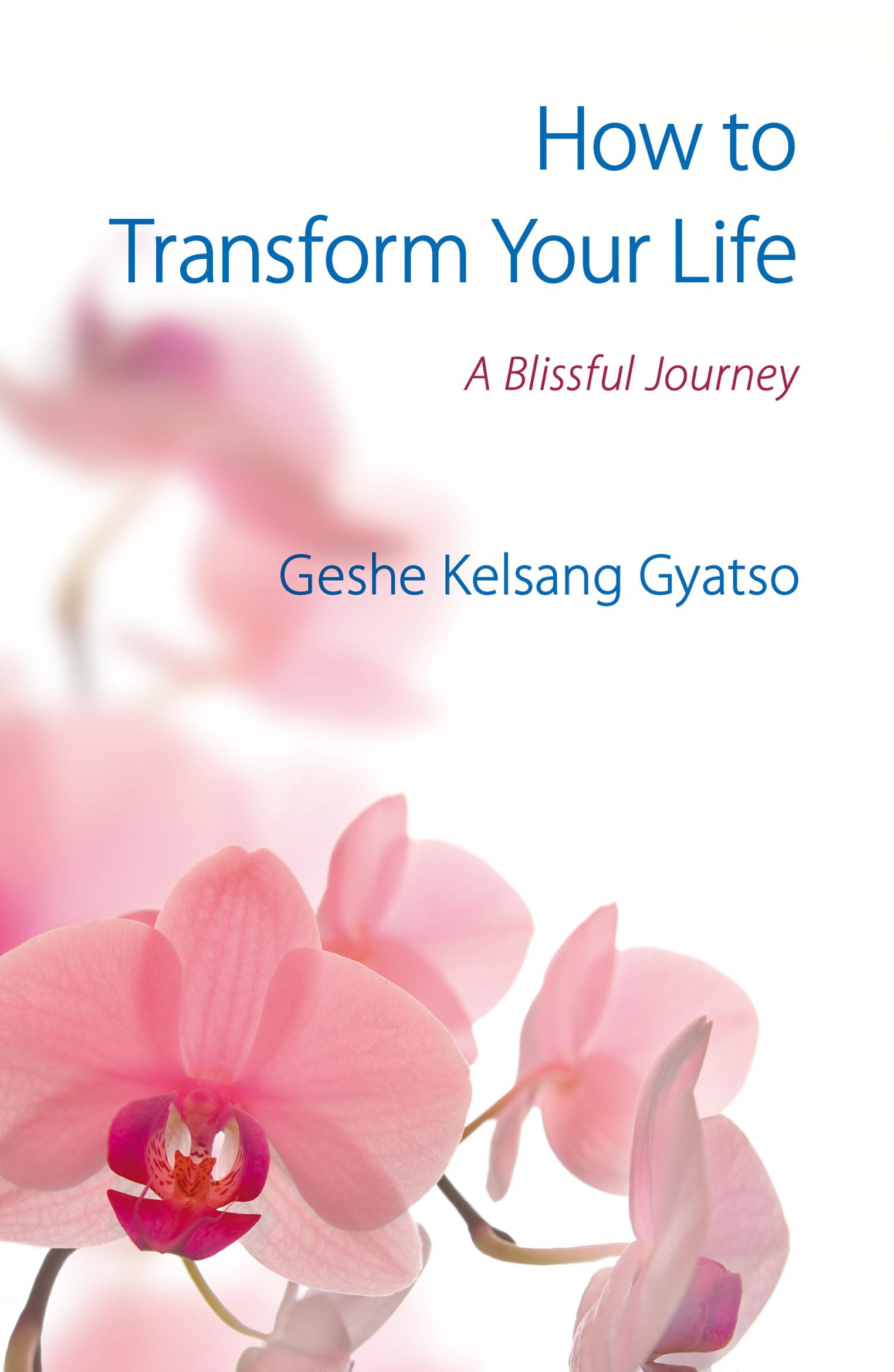 How to Transform Your Life: A Blissful Journey Philosophy