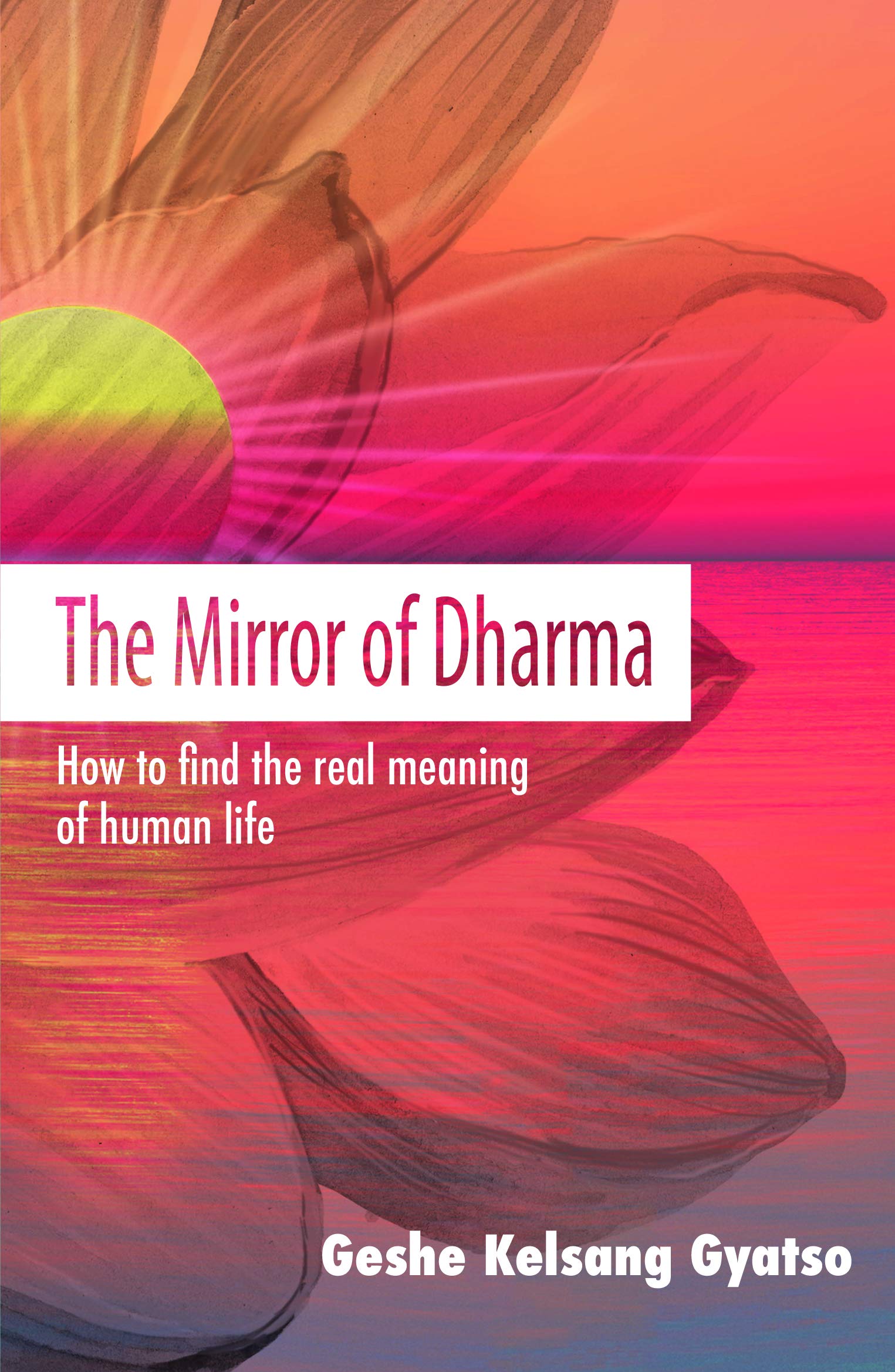 The Mirror of Dharma: How to Find the Real Meaning of Human Life Philosophy