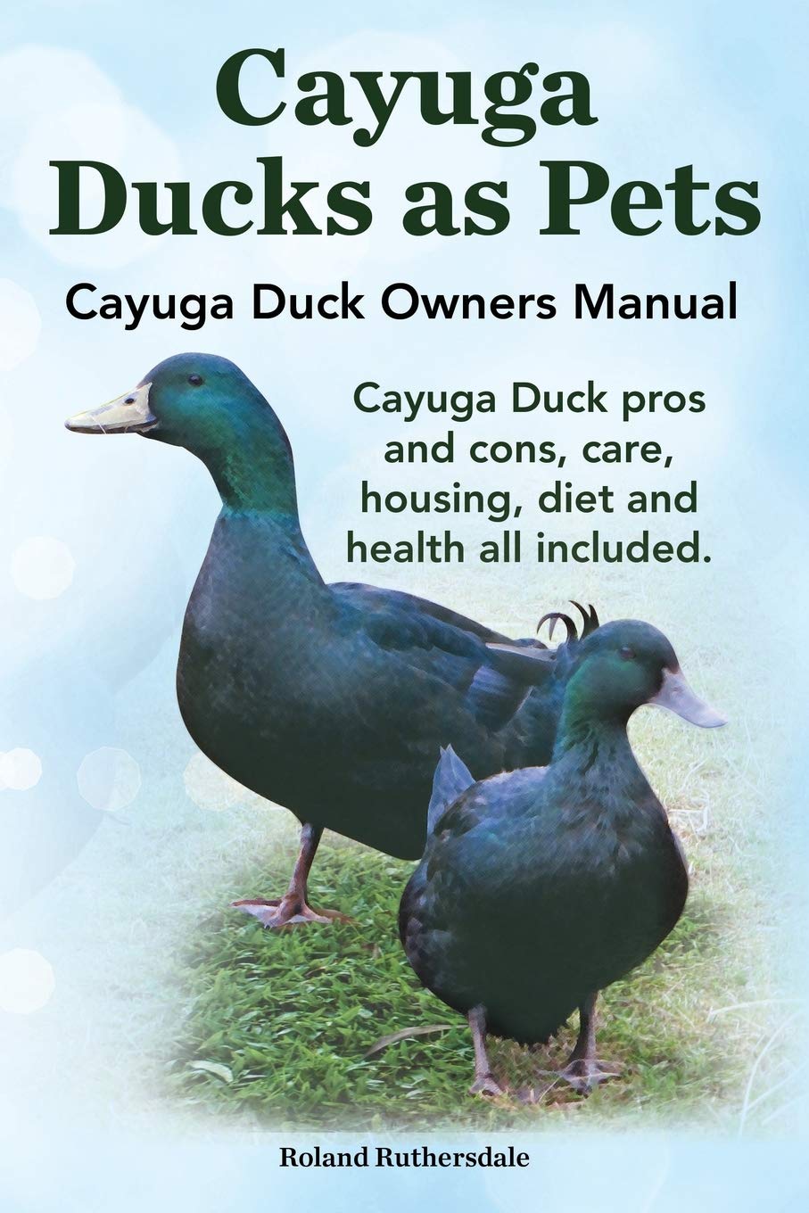 Cayuga Ducks as Pets. Cayuga Duck Owners Manual. Cayuga Duck Pros and Cons, Care, Housing, Diet and Health All Included. Pets
