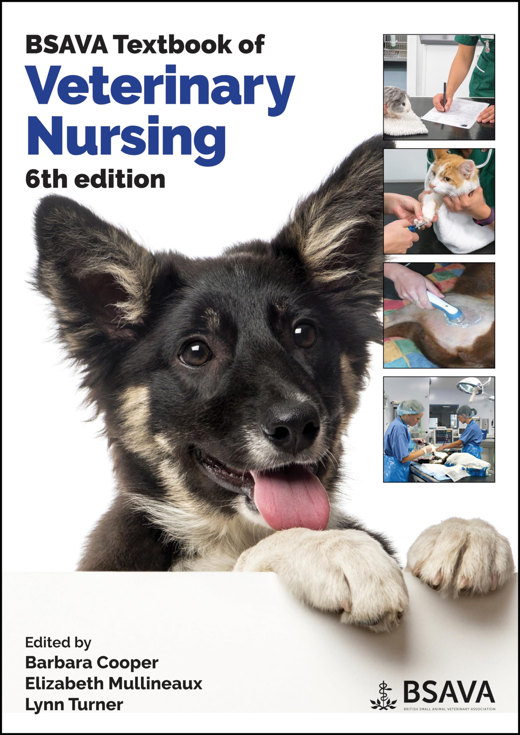 BSAVA Textbook of Veterinary Nursing (BSAVA British Small Animal Veterinary Association) Medicine