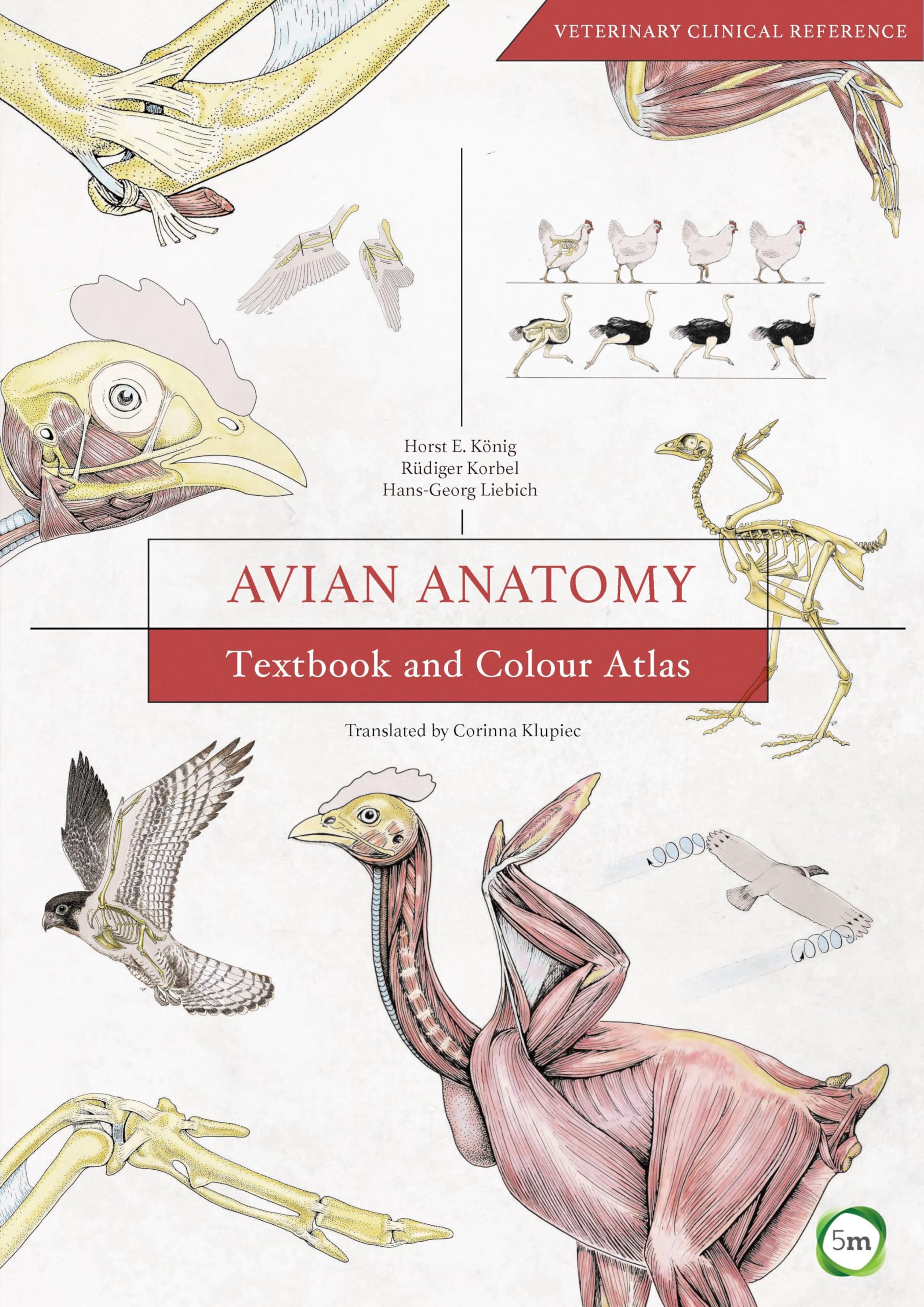Avian Anatomy 2nd Edition: Textbook and Colour Atlas (Veterinary Atlases) Medicine