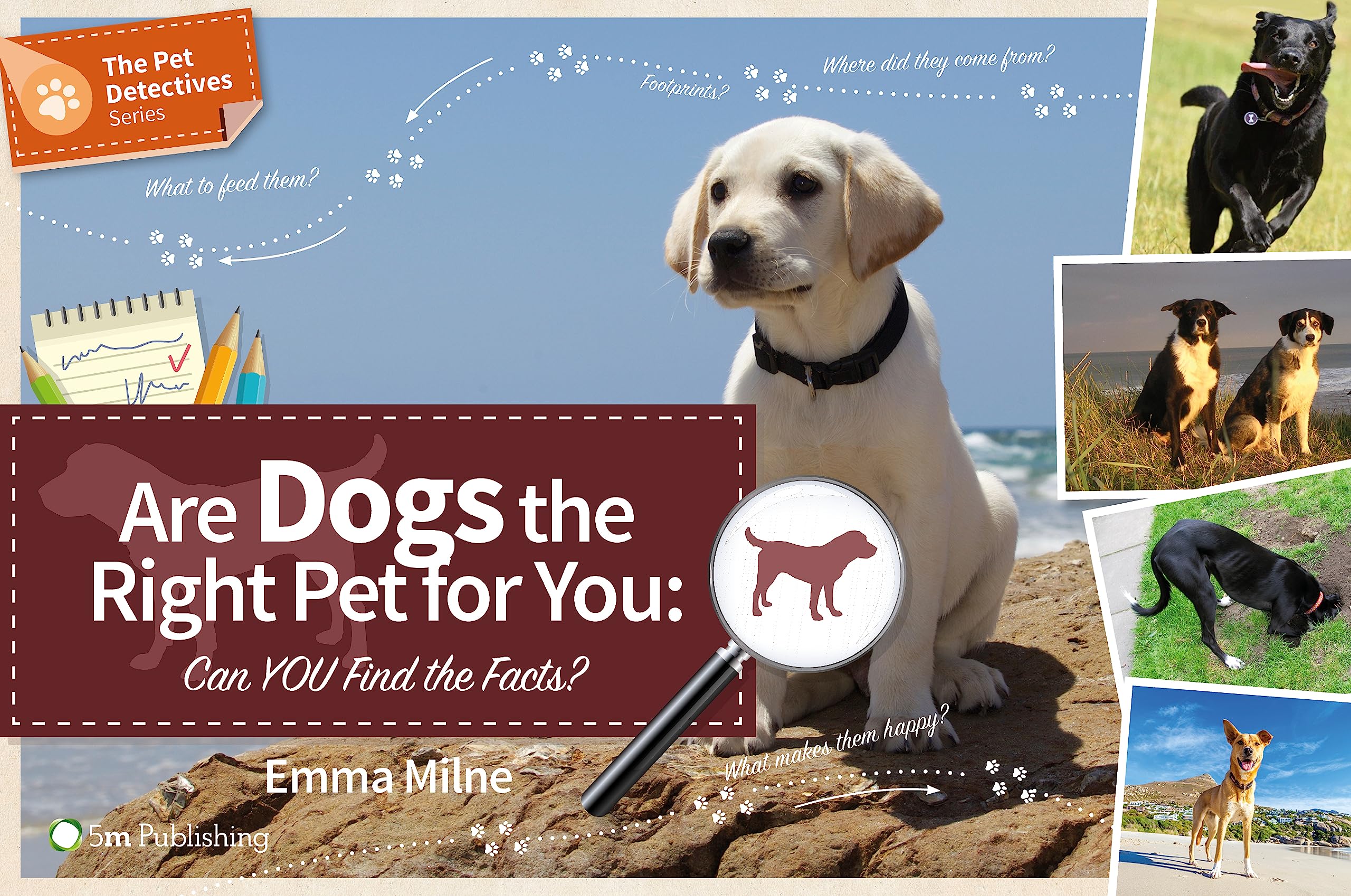 Are Dogs the Right Pet for You: Can You Find the Facts? (Pet Detectives) Pets