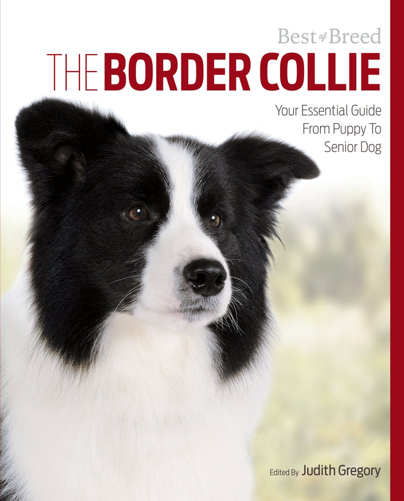 The Border Collie: Your Essential Guide from Puppy to Senior Dog book