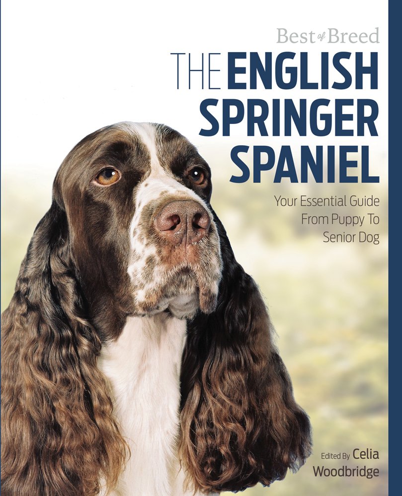 The English Springer Spaniel: Your Essential Guide from Puppy to Senior Dog Pets