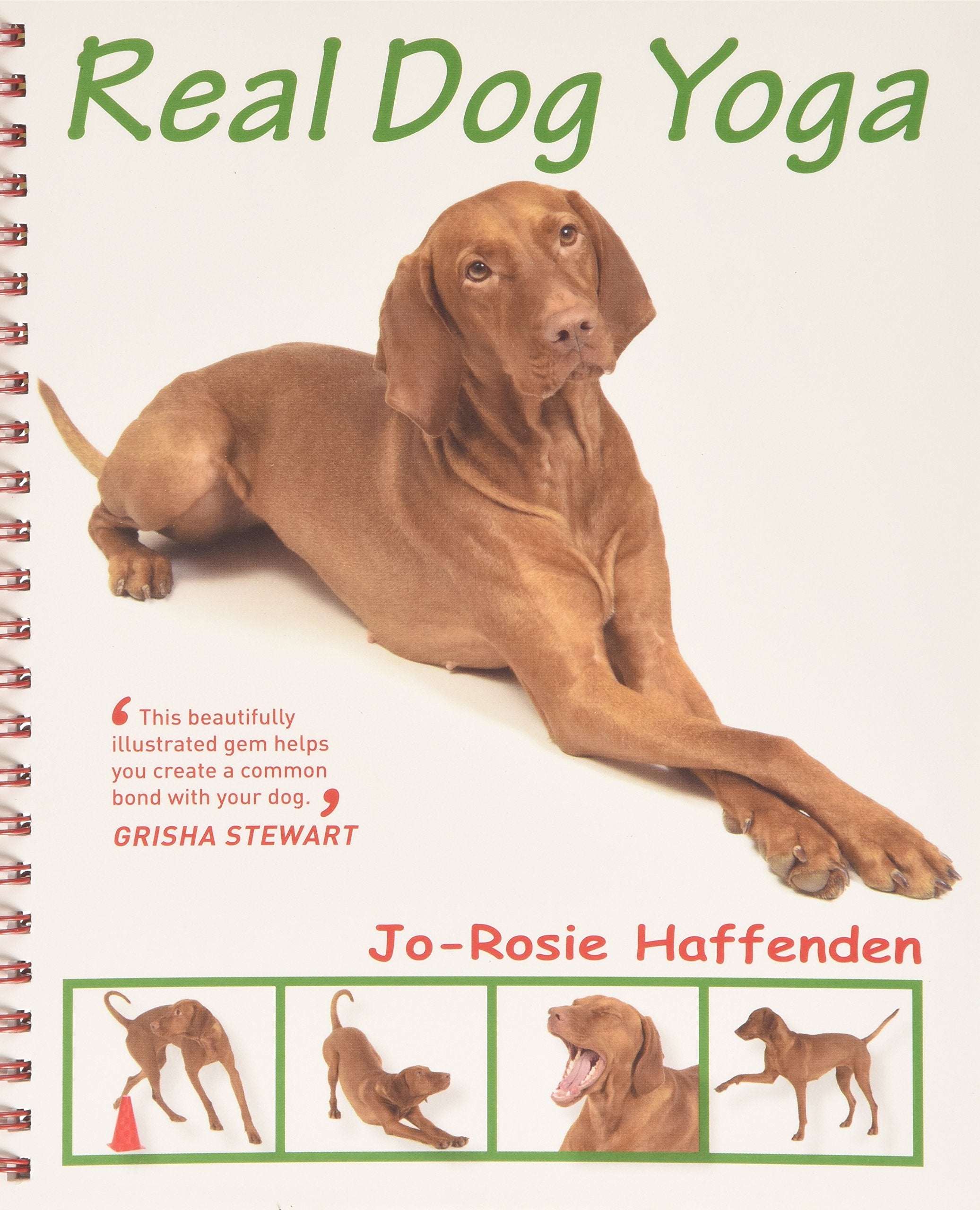Real Dog Yoga Pets