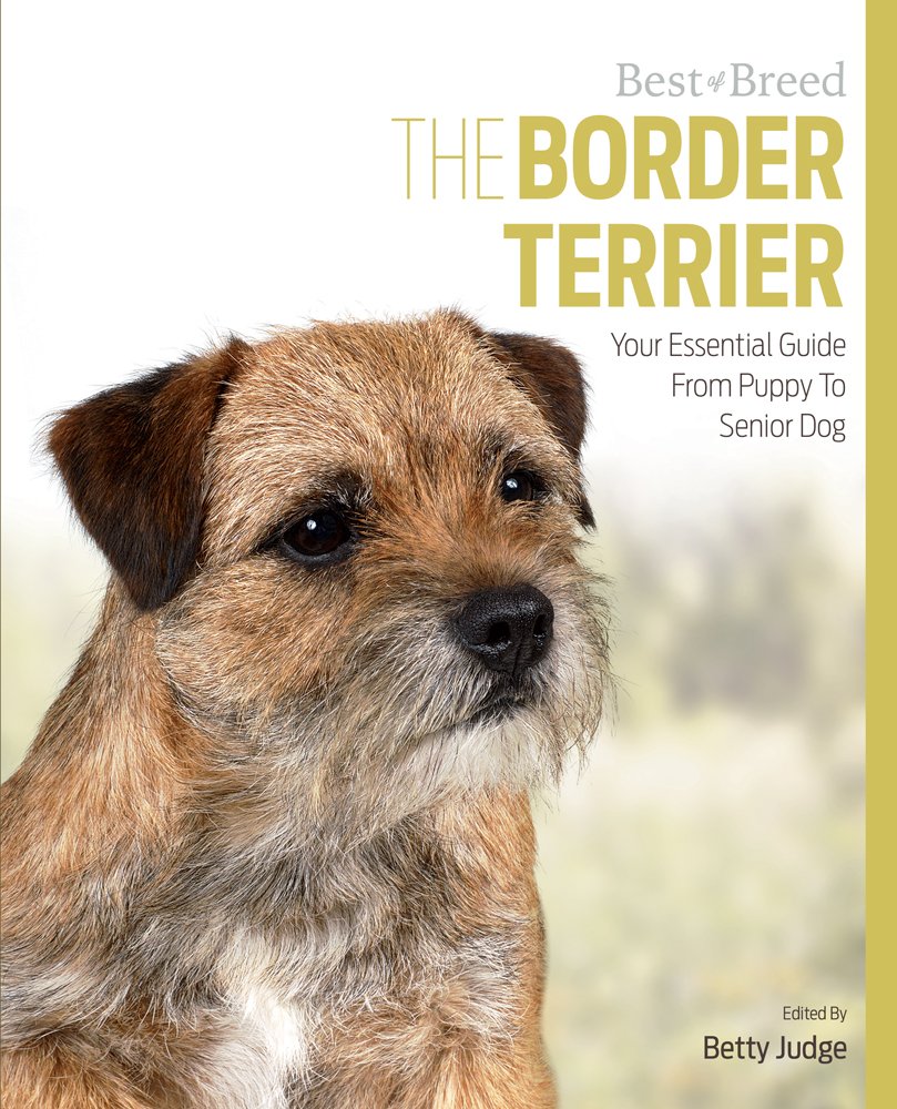 Border Terrier Best of Breed: Your Essential Guide from Puppy to Senior Dog Pets